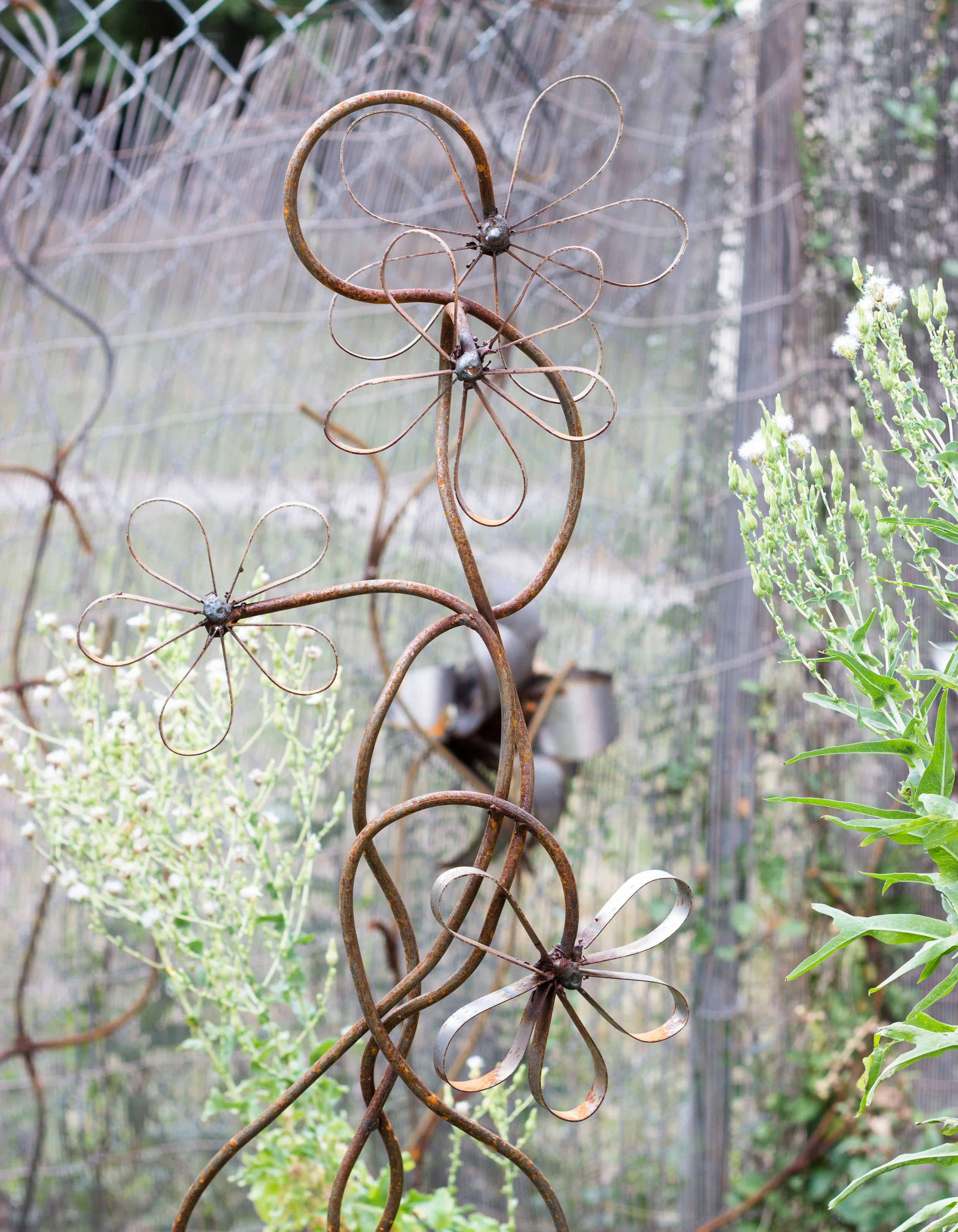 Jennifer Art-11 copy.jpeg