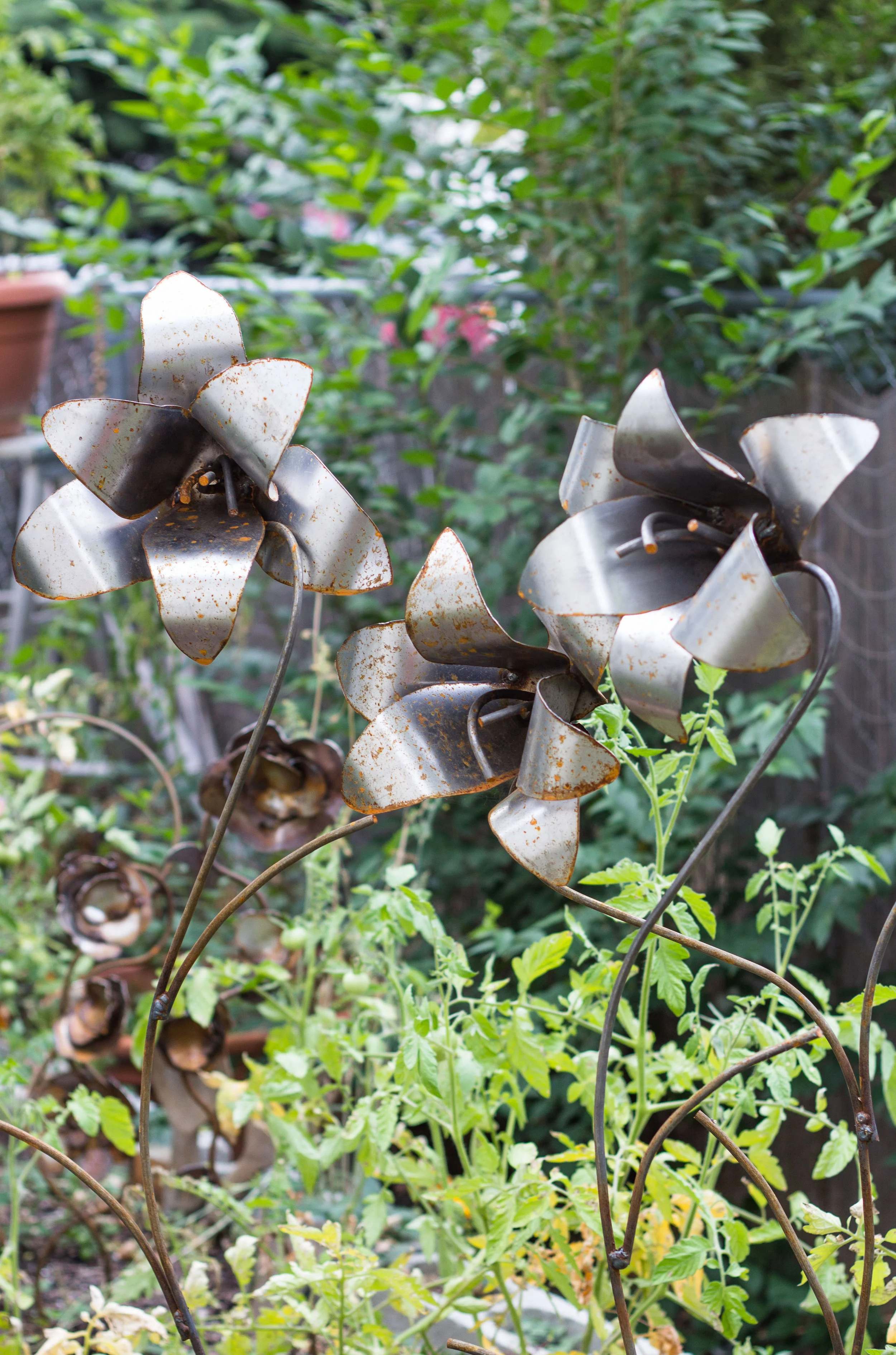 Jennifer Art-16 copy.jpeg