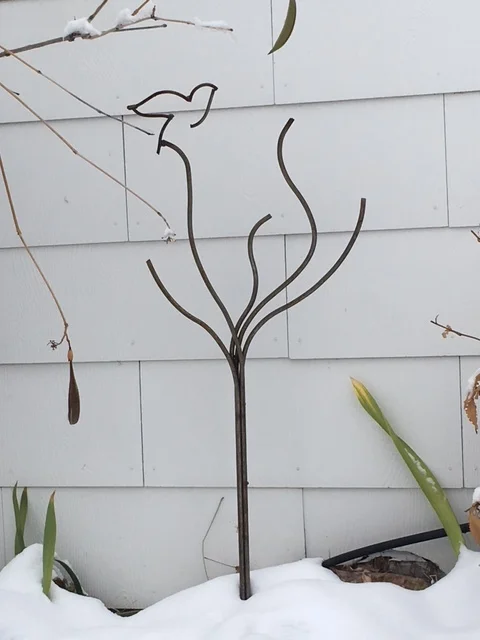 Carolyn's Bird in Tree.JPG