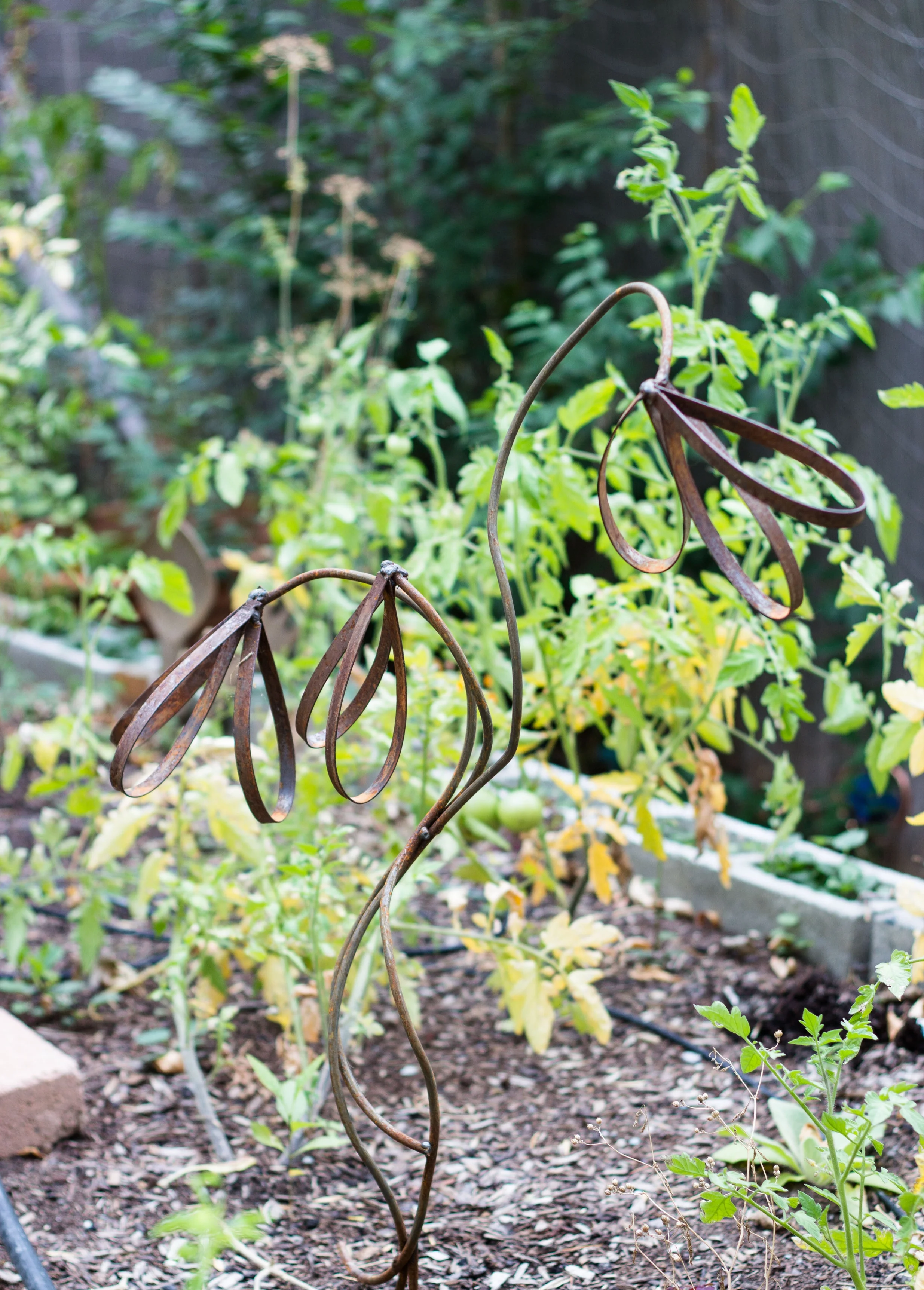 Jennifer Art-3 copy.jpeg