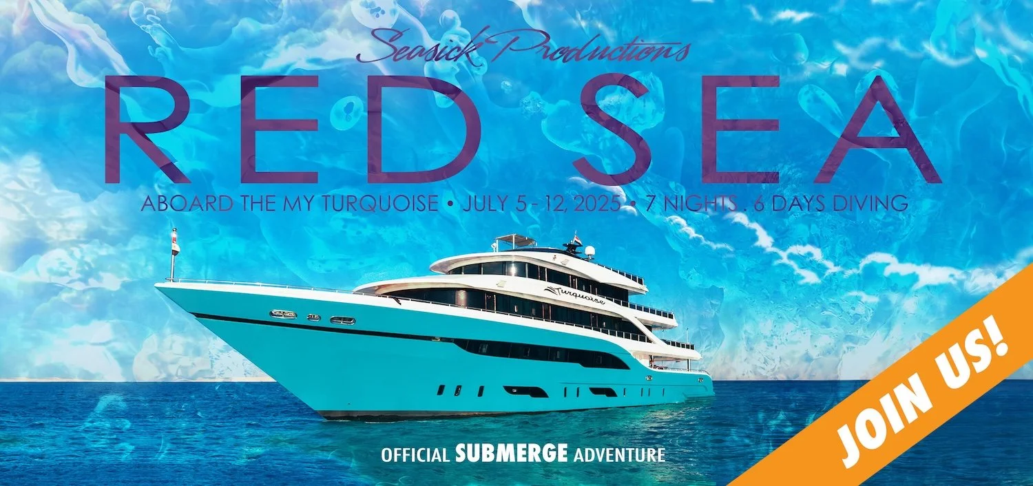 RED SEA 2025 July 5-12