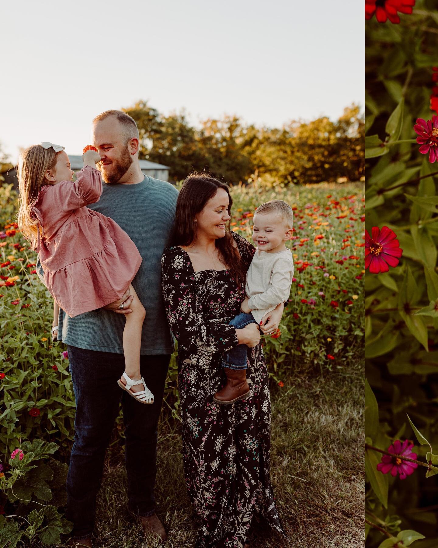 Zinnias in the fall could not be more glorious for a family session. Add in a little golden hour light and you get a pure magical wonderland. I could not ask for a better night with this beautiful family to create some sweet memories with. I love thi