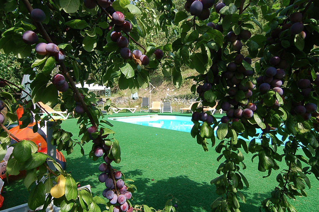 Twin-Garden-View.png