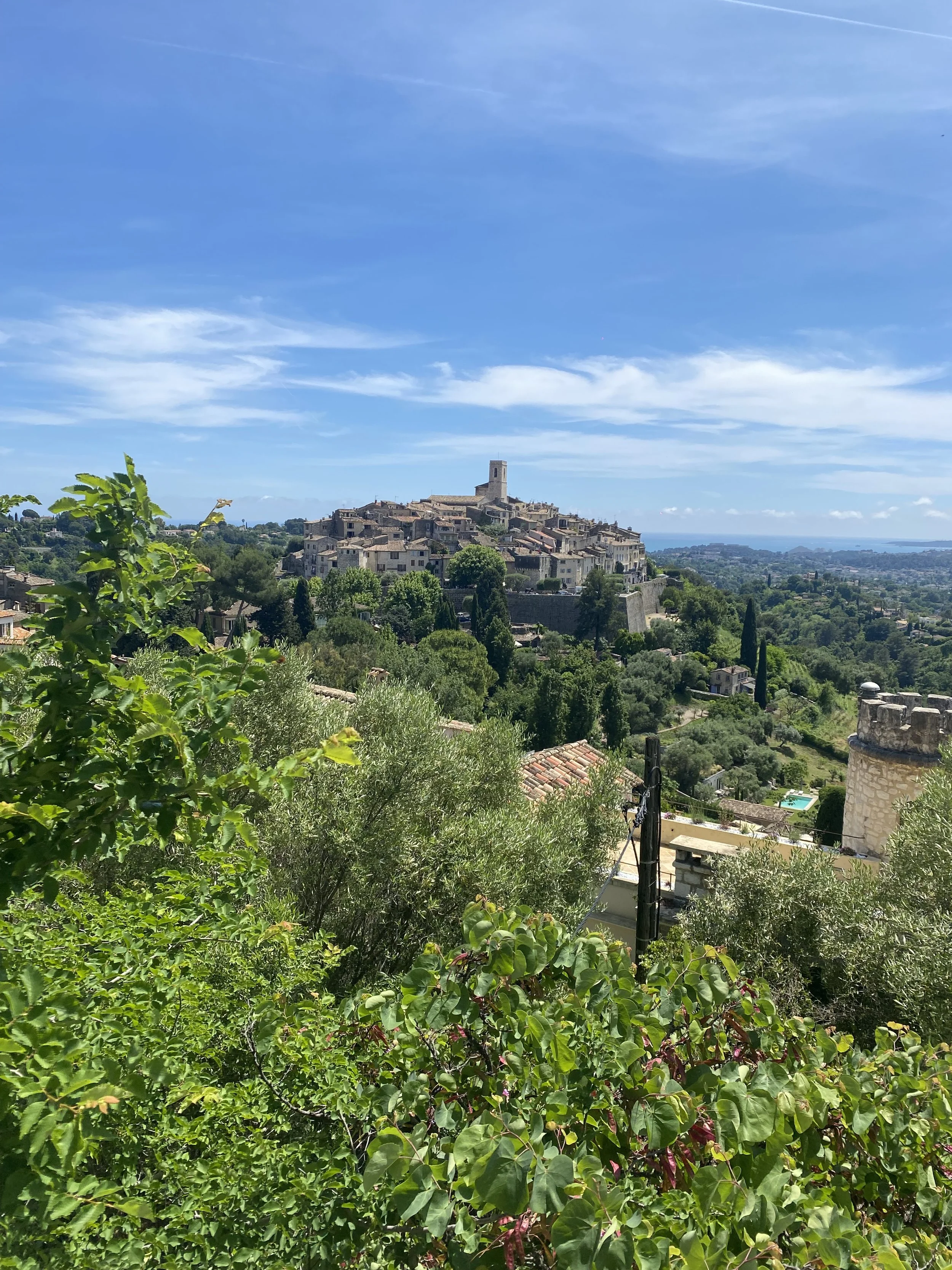 IMG_4119.jpeg