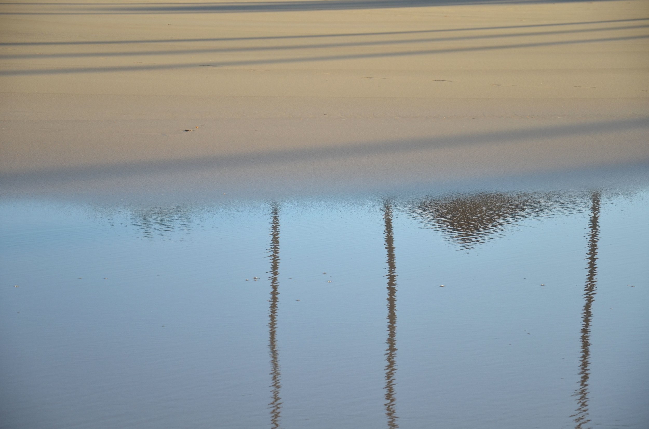 DSC_2510.JPG