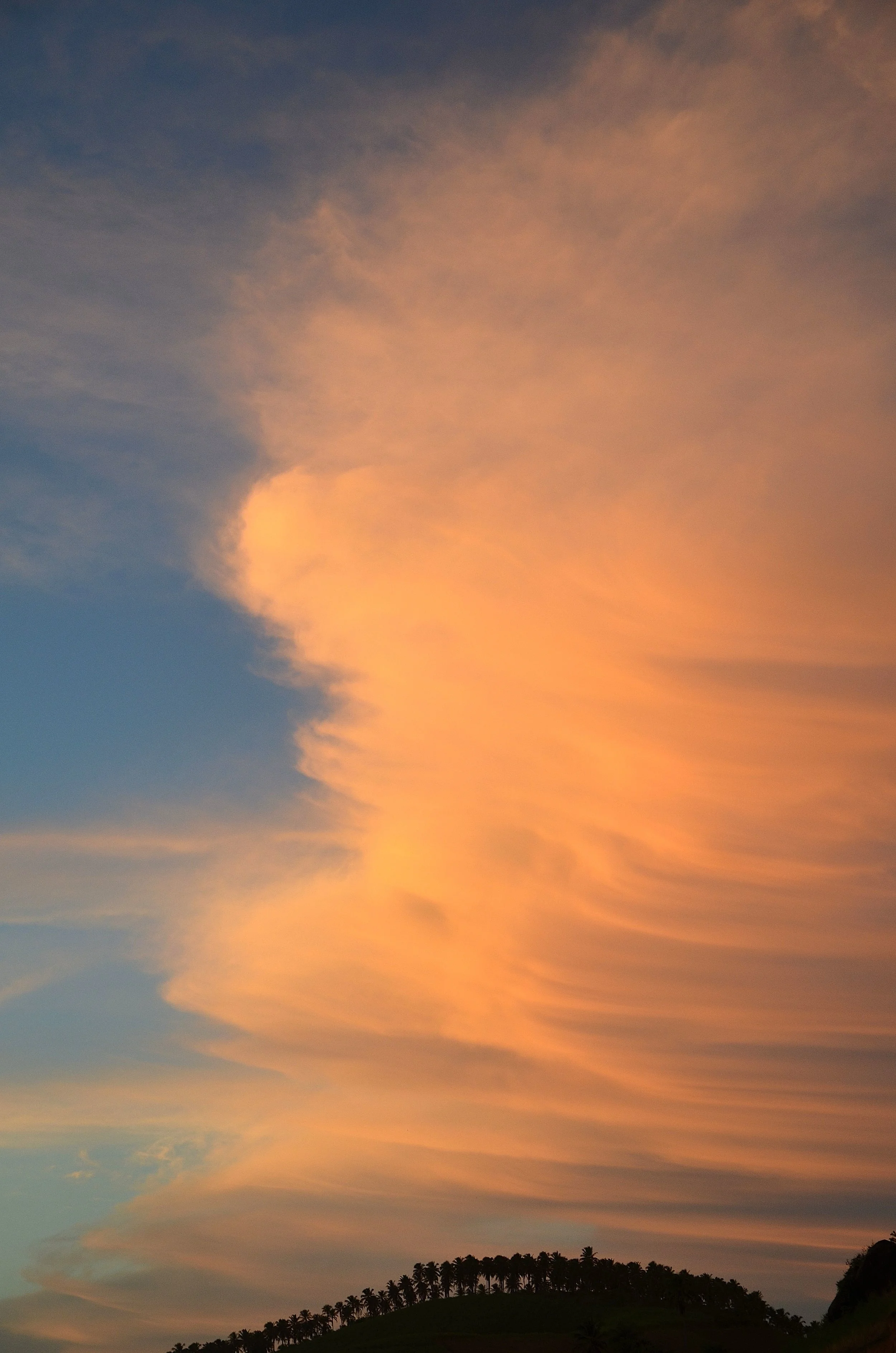 DSC_2639.JPG