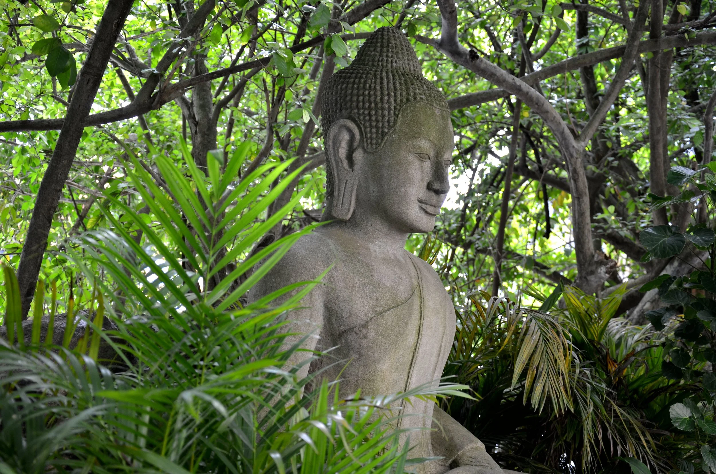 DSC_0076.JPG