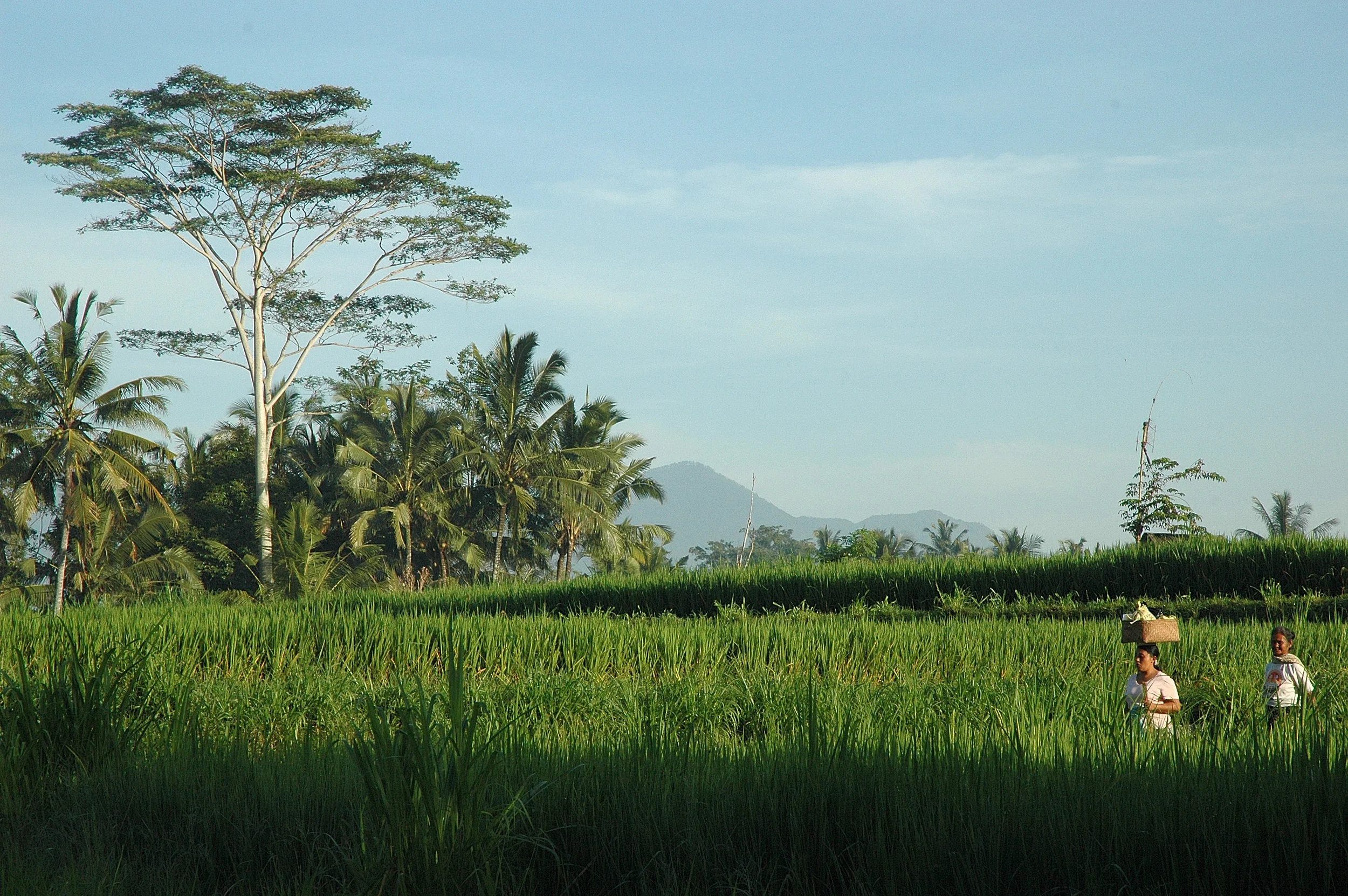 DSC_01742204.JPG