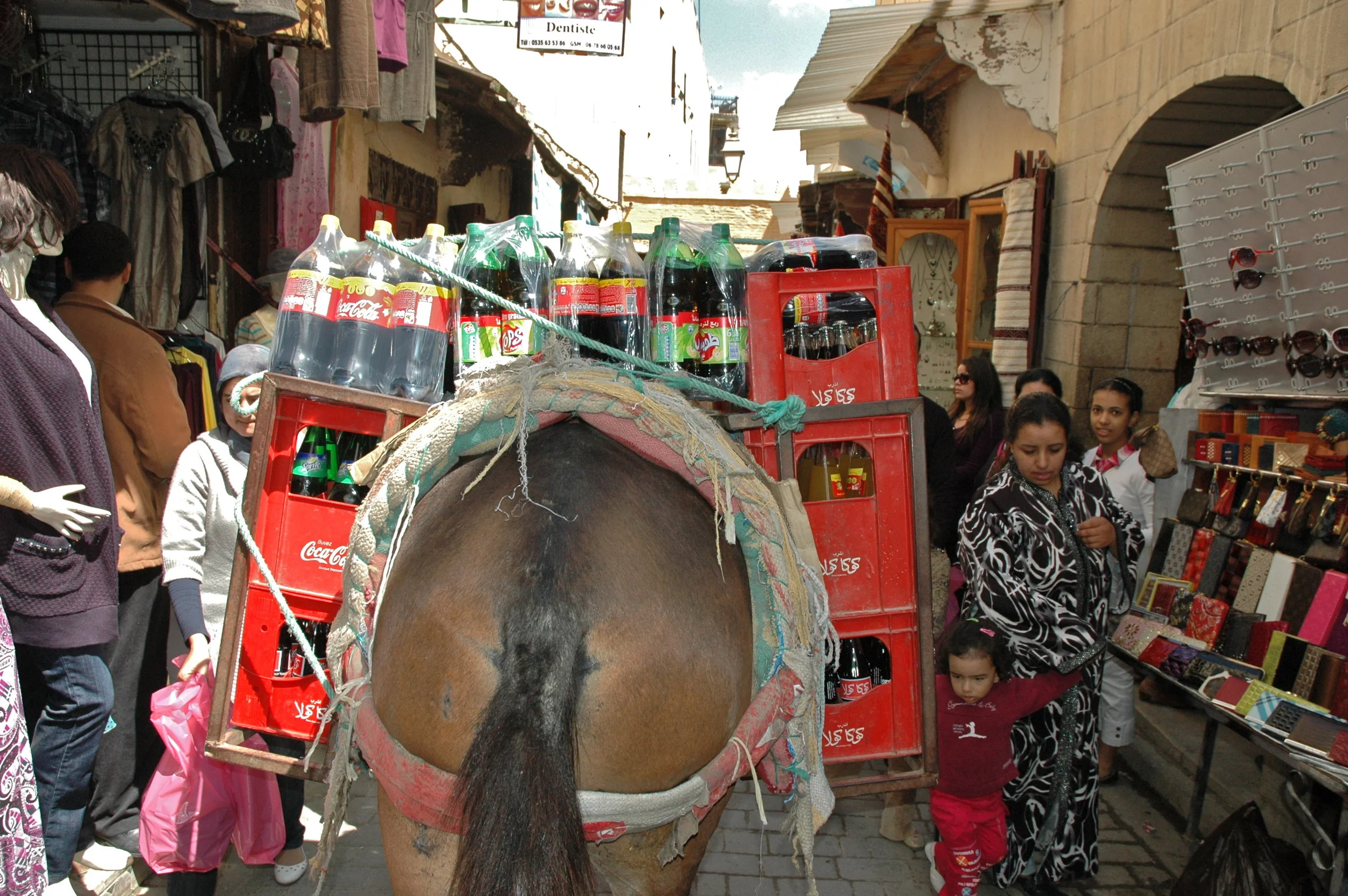 DSC_0217a.JPG