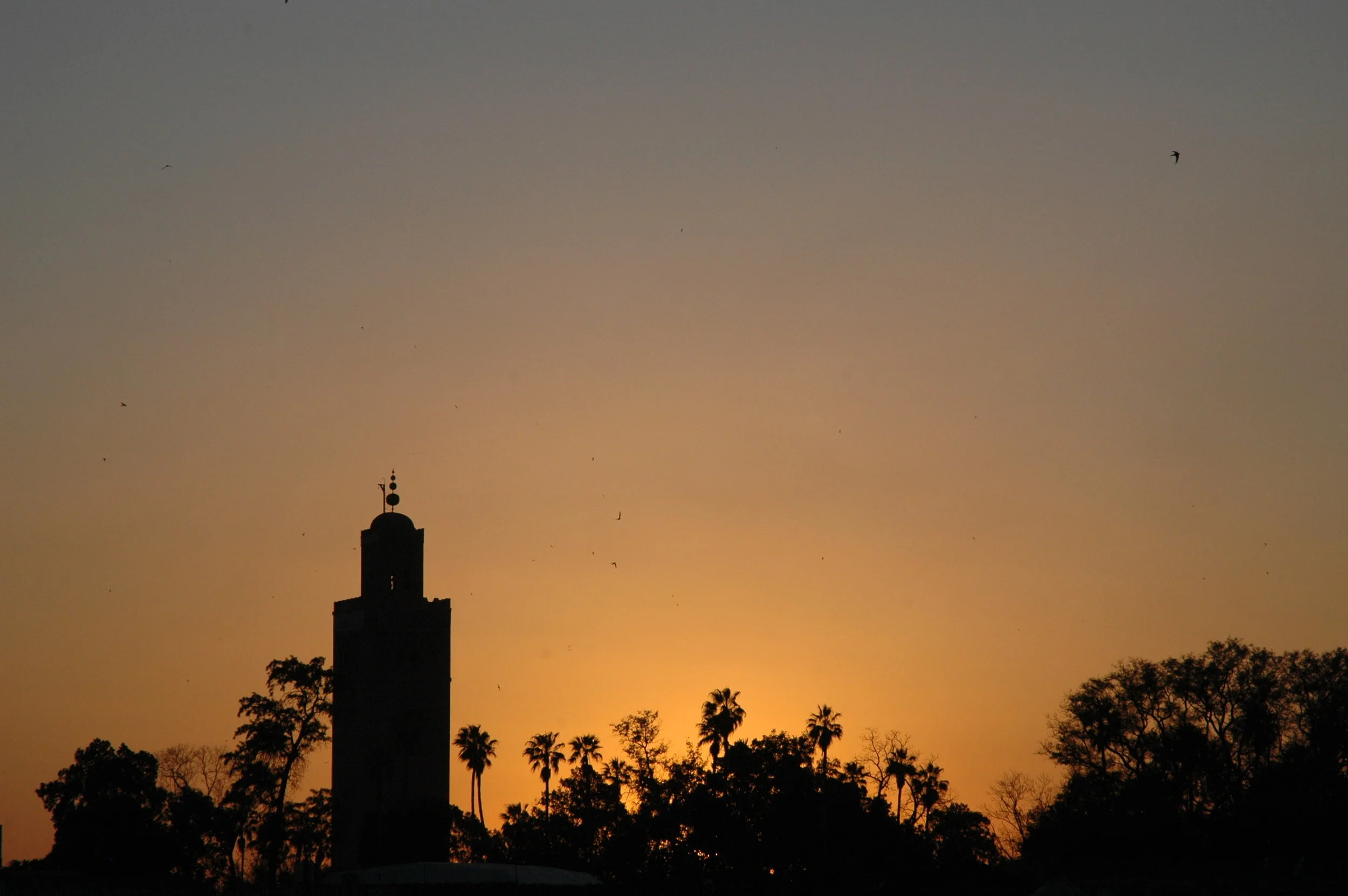 DSC_0490.JPG