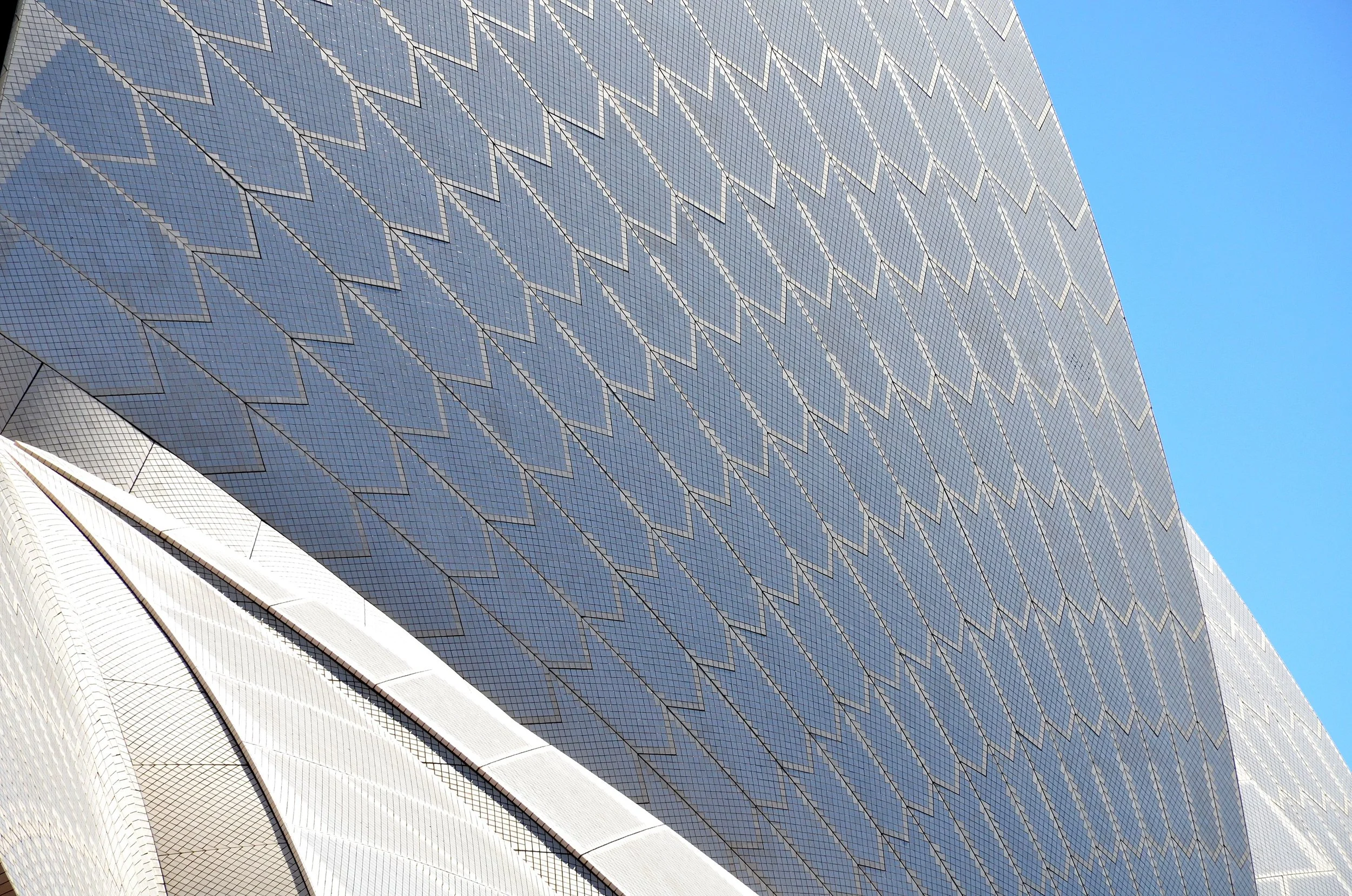 DSC_5773.JPG