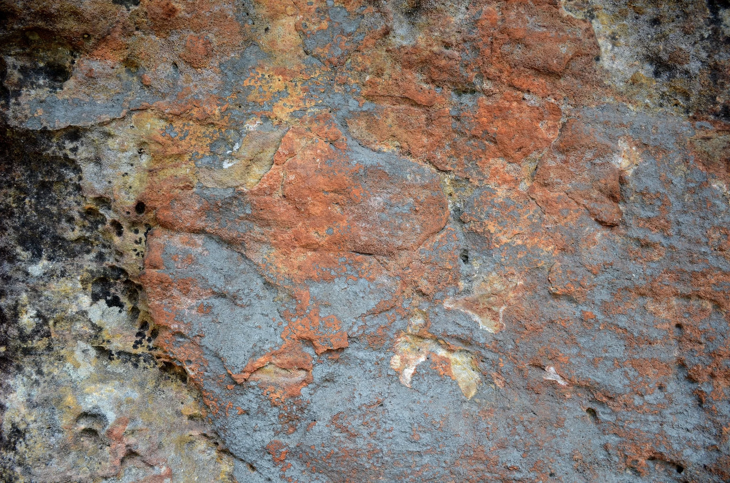 DSC_5831.JPG