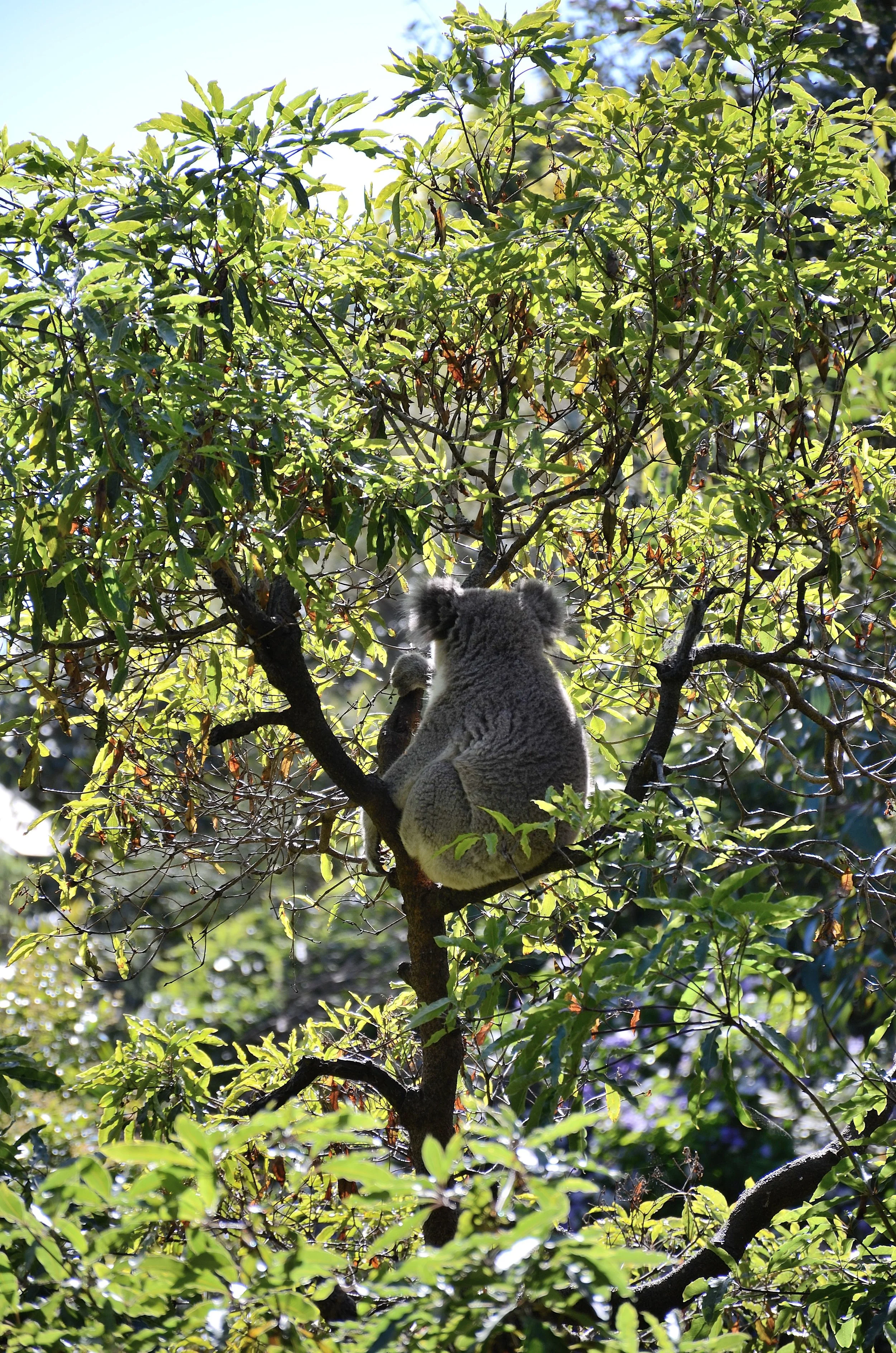 DSC_5859.JPG