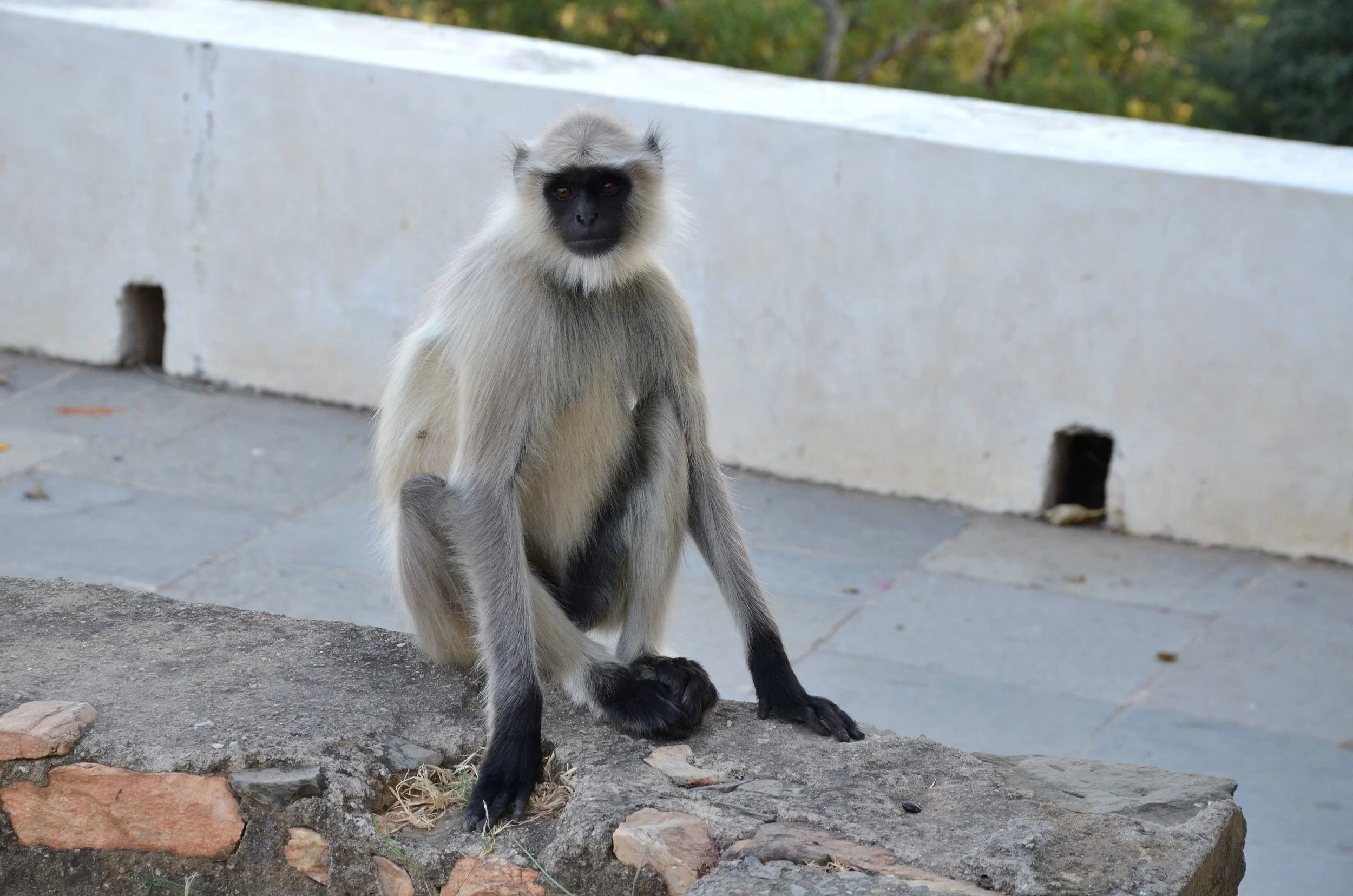 DSC_8889.JPG