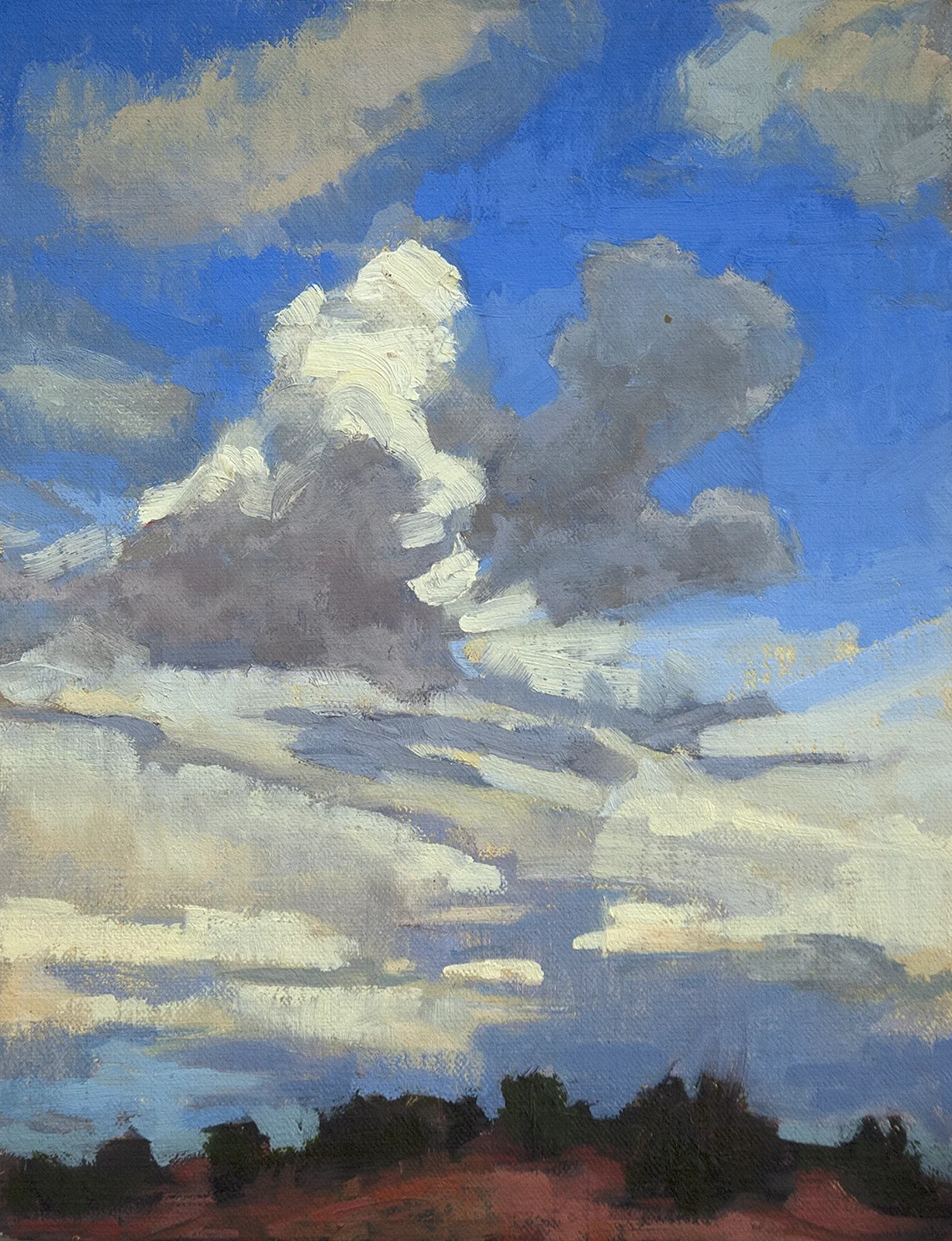 New Mexico Sky