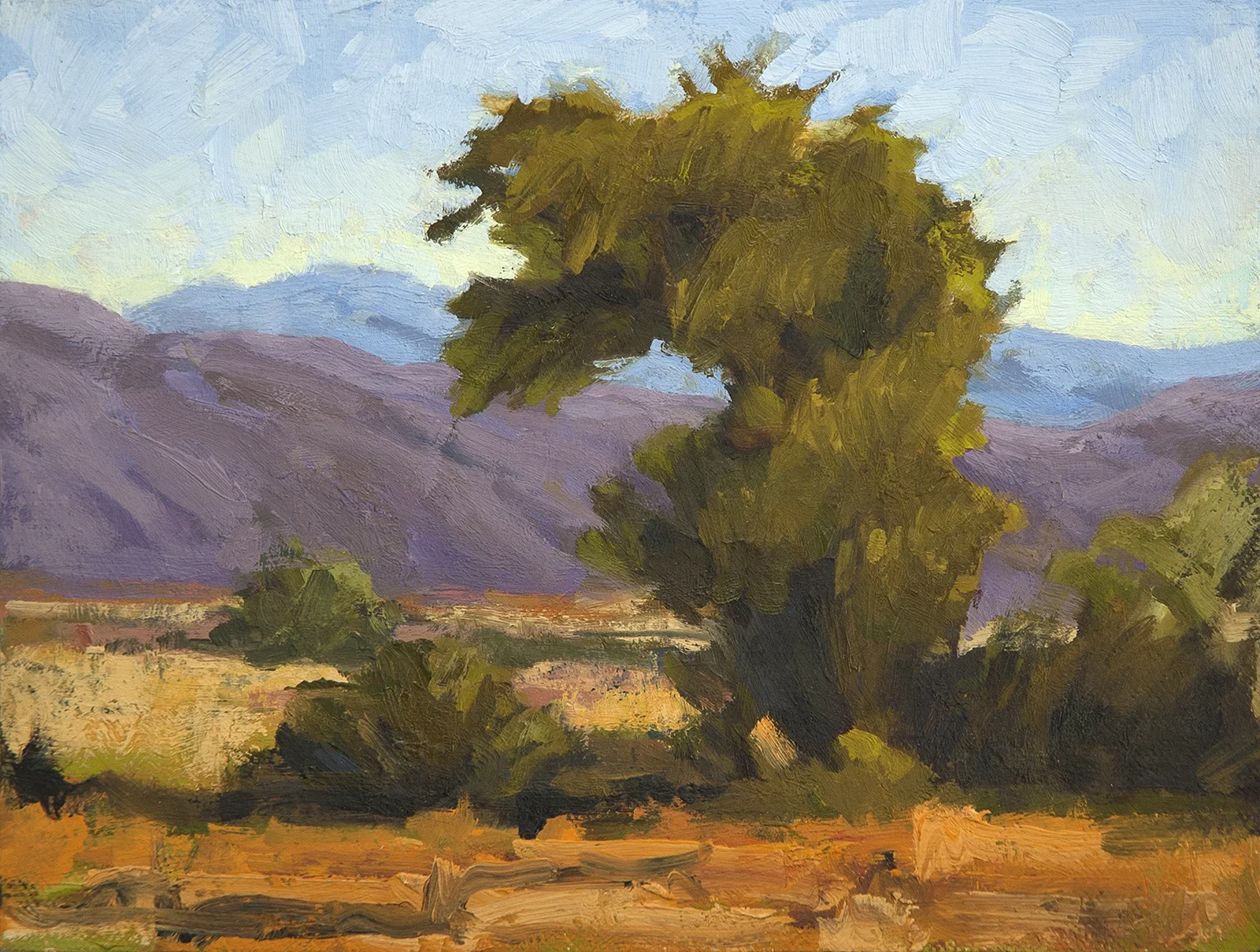 NM Landscape