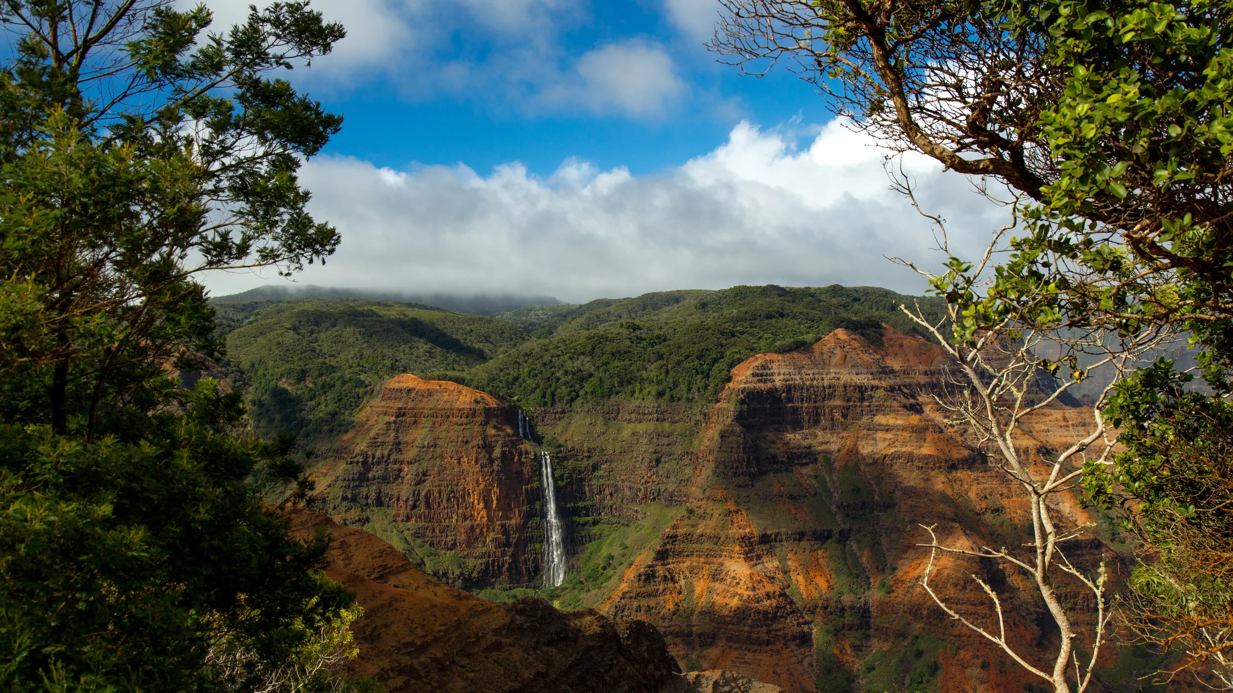 Waimea Canyon on a sunny day