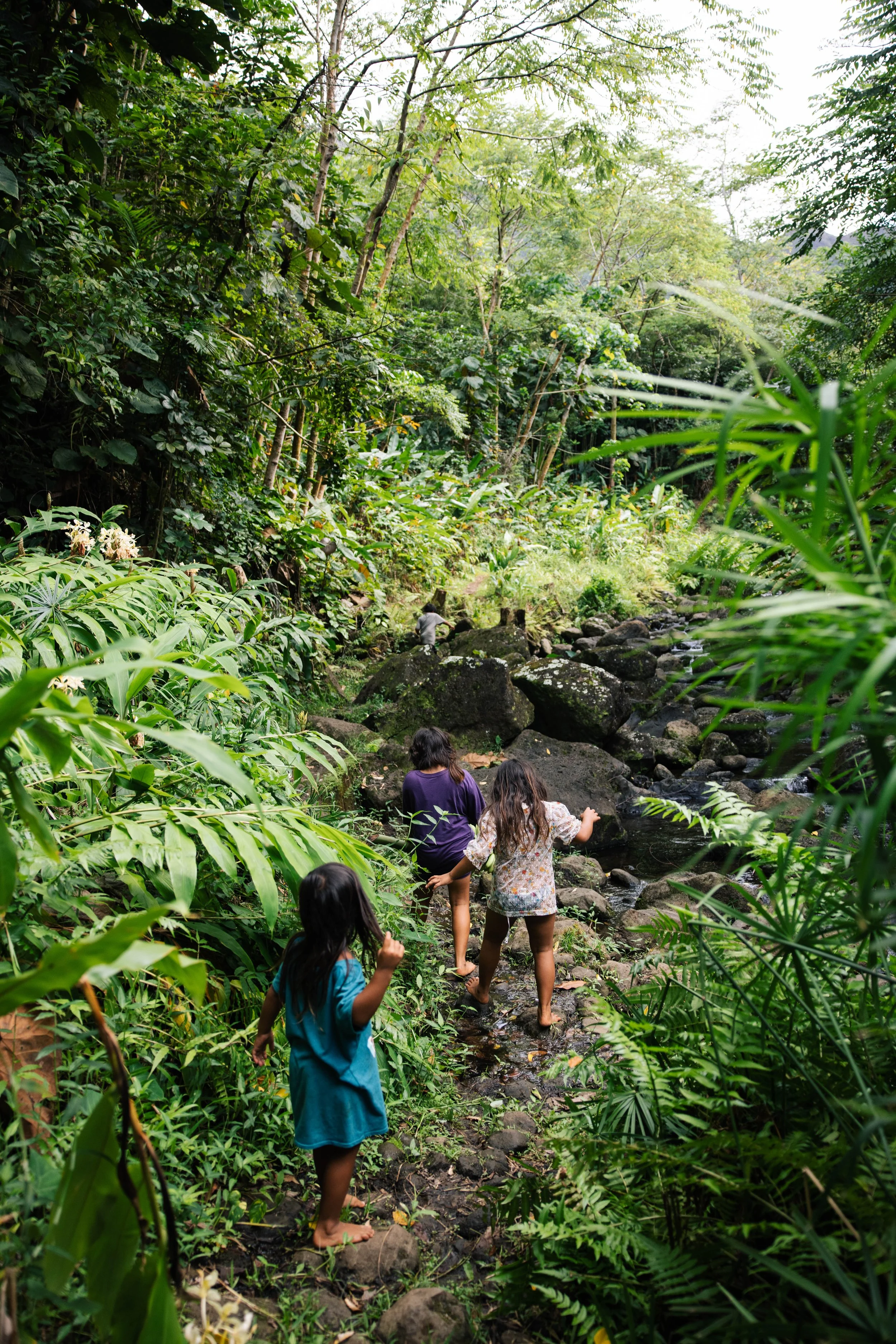 IslandWisdom_HiilaniShibata_FamilyPicnic-7665.jpg