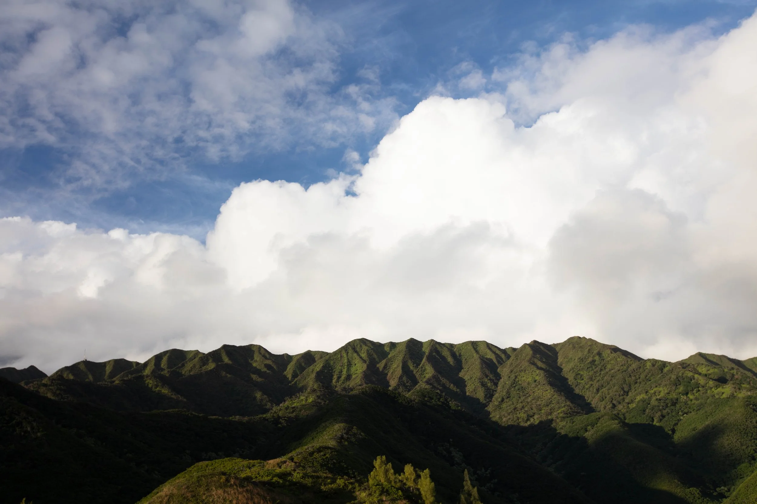 IslandWisdom_KoolauMountains-9571.jpg