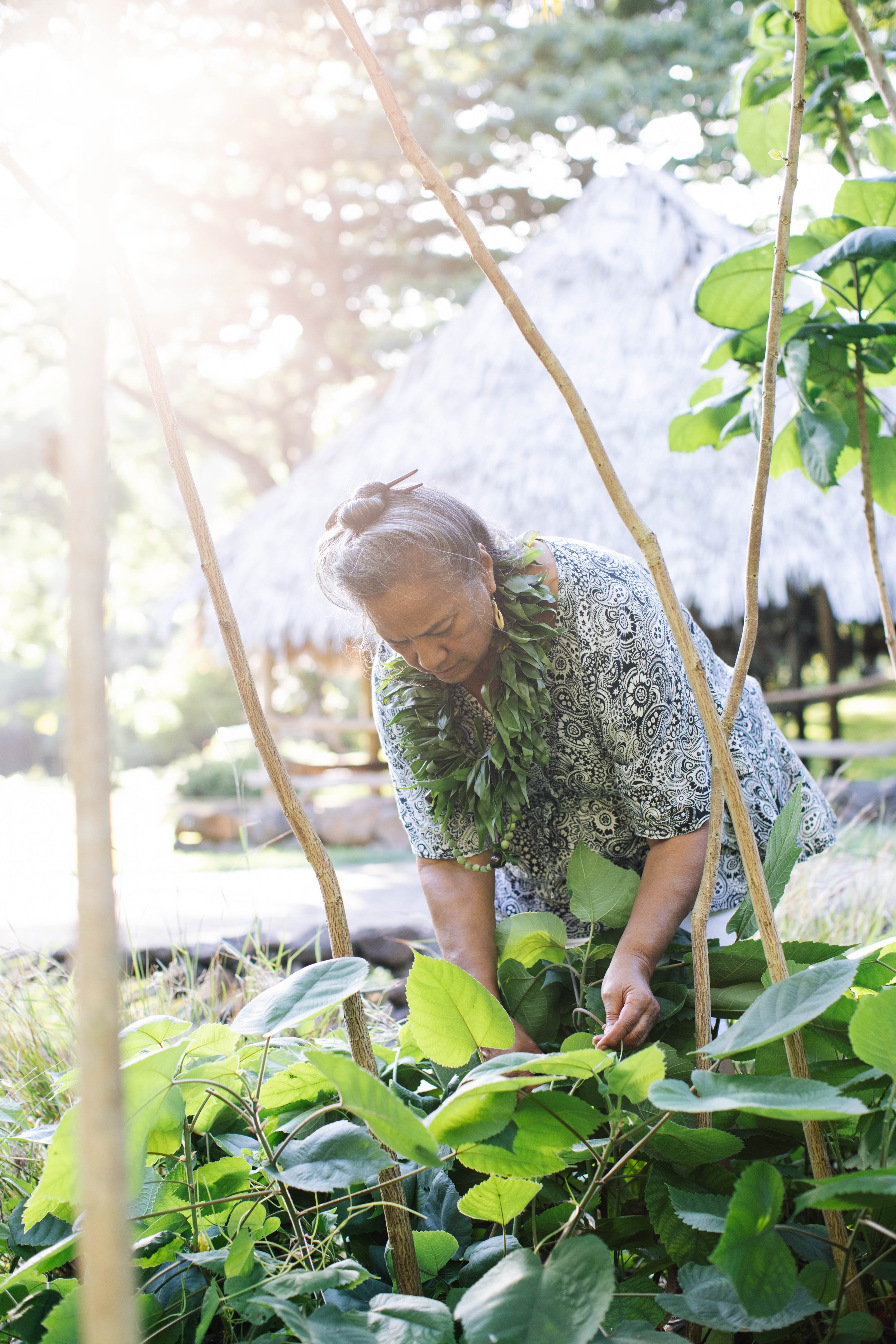 IslandWisdom_SabraKauka-5491.jpg