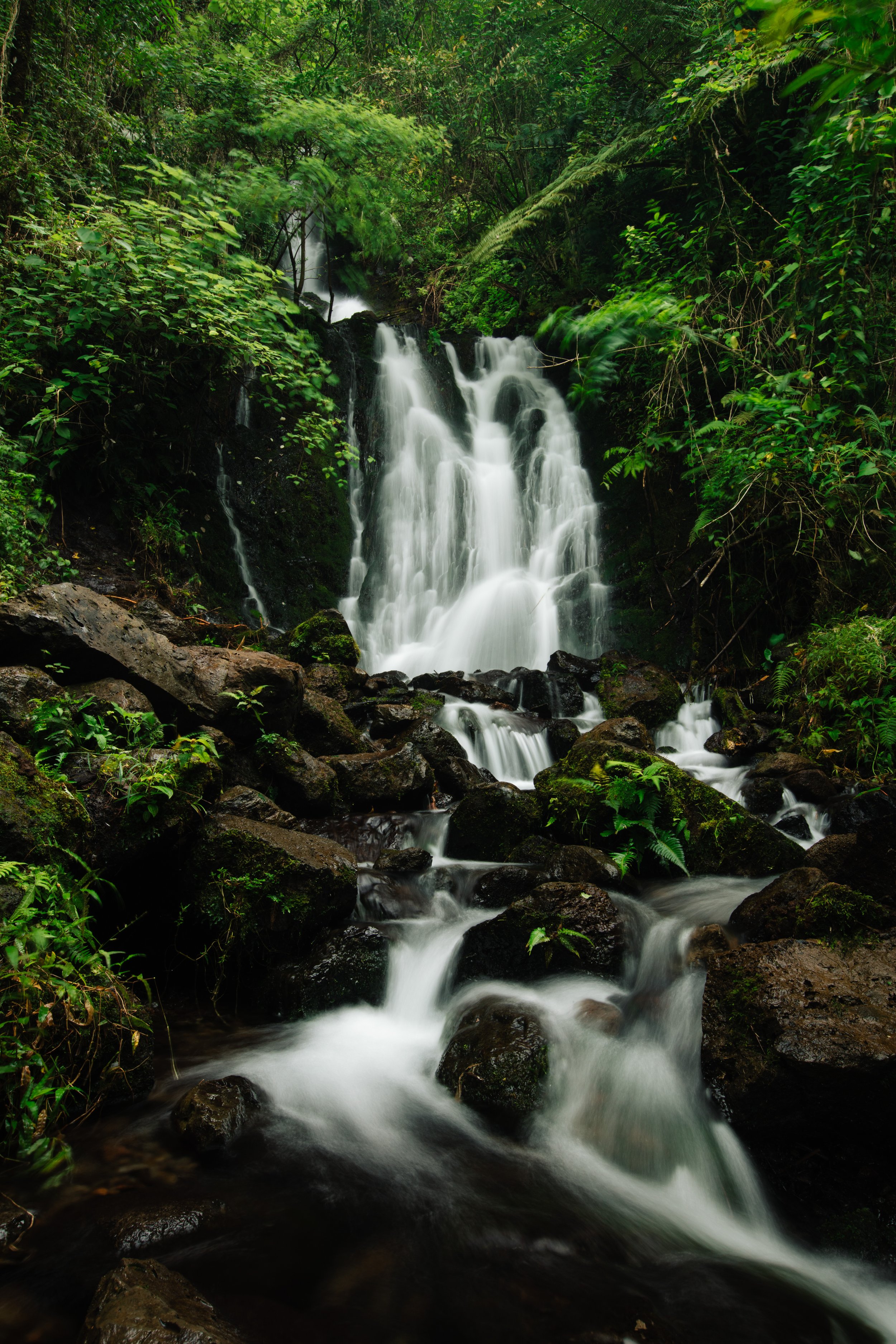 IslandWisdom_OahuWaterfall-2.jpg