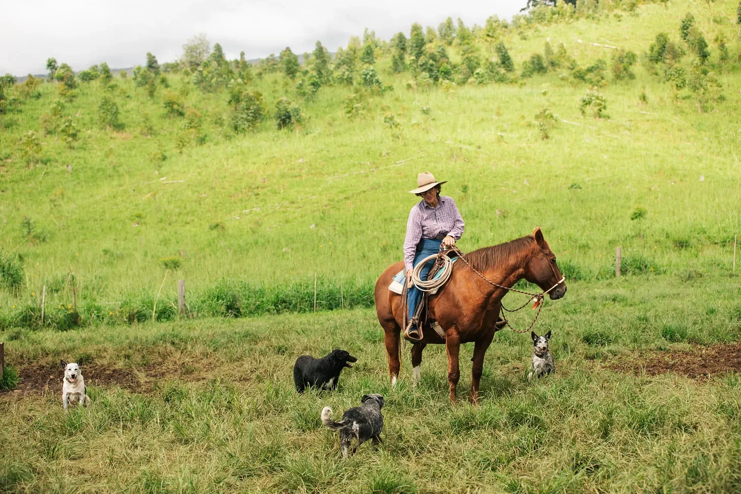 Dead Babies and Climate Cowboys