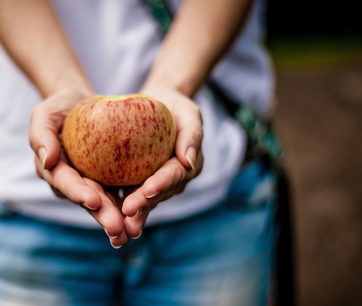 Stocksy apple in hands.jpg