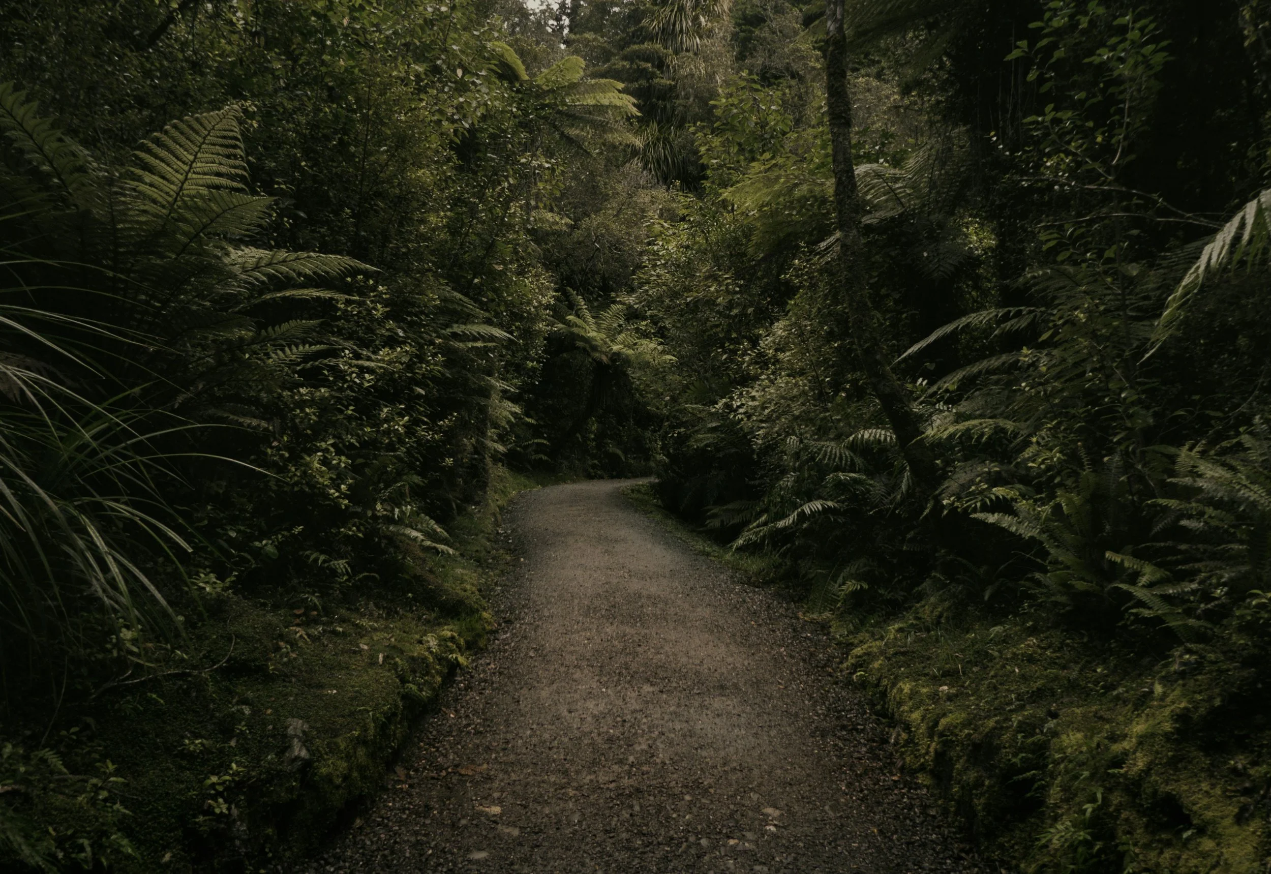 tyler-lastovich-MfRNe40ihls-unsplash.jpg
