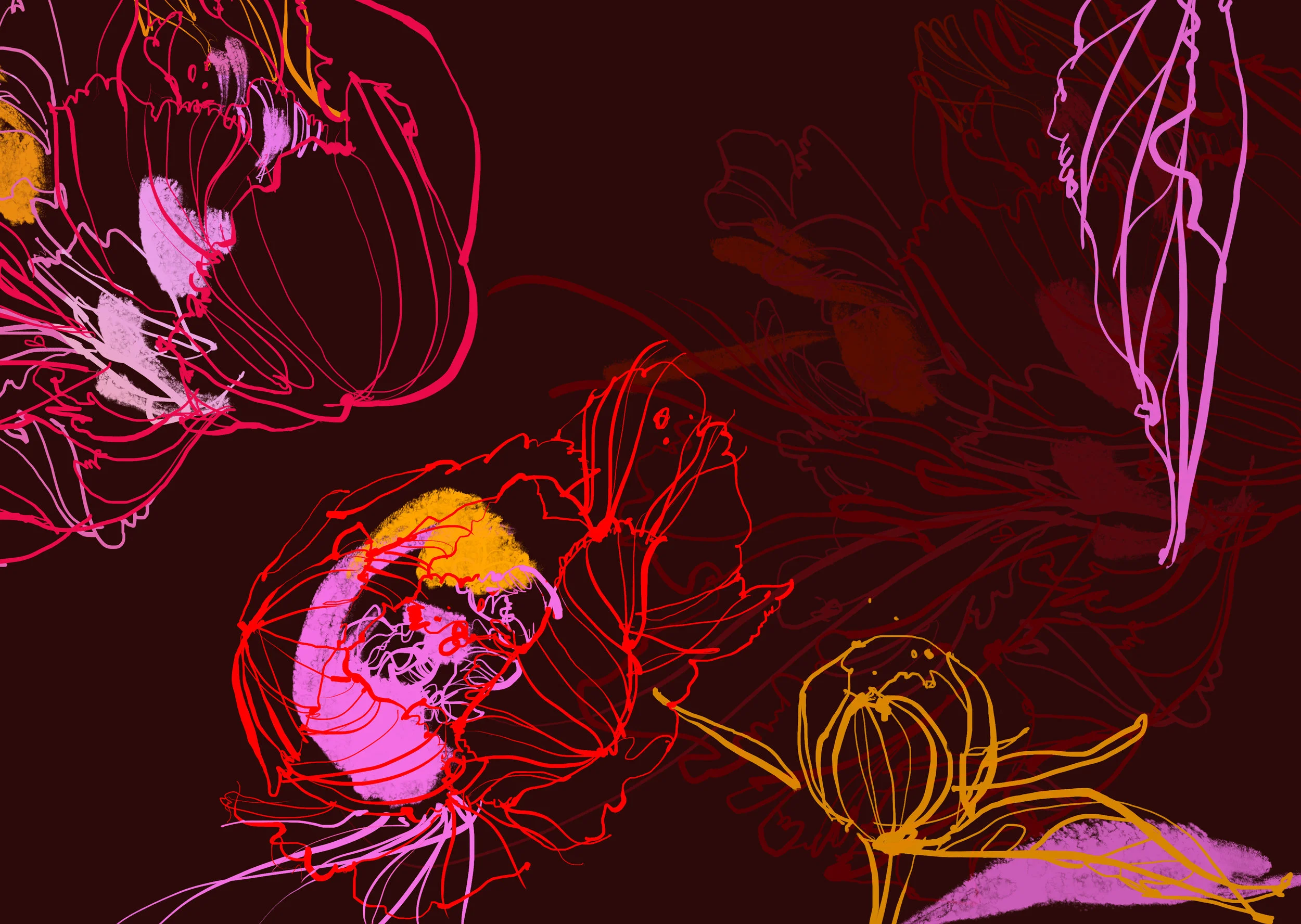 Composite 1.jpg