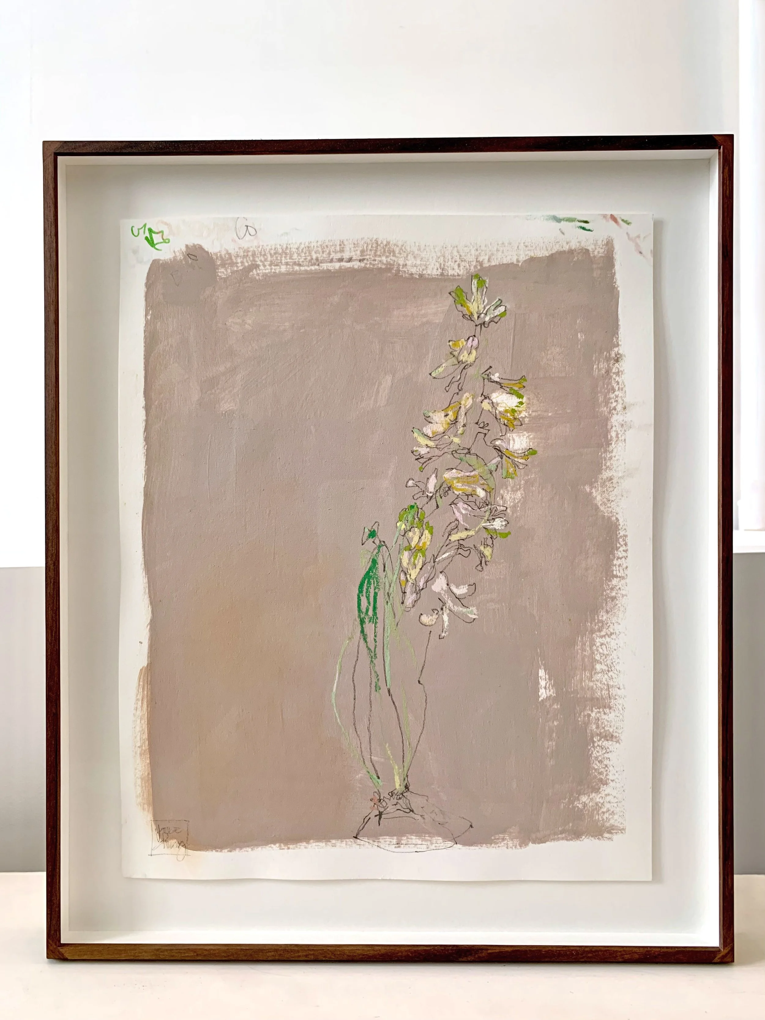 Hyacinth in Frame 001.jpg