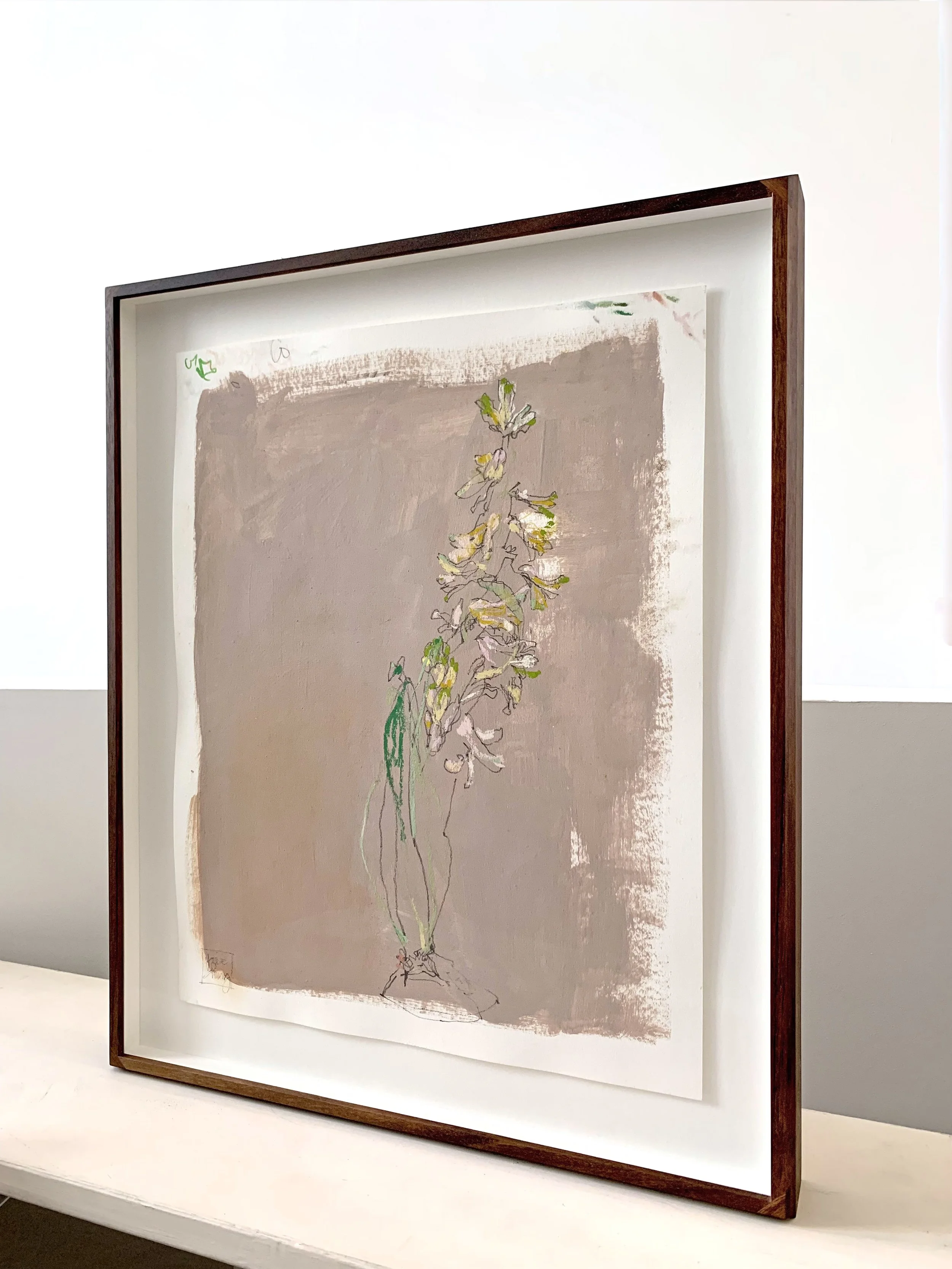 Hyacinth in Frame 002.jpg