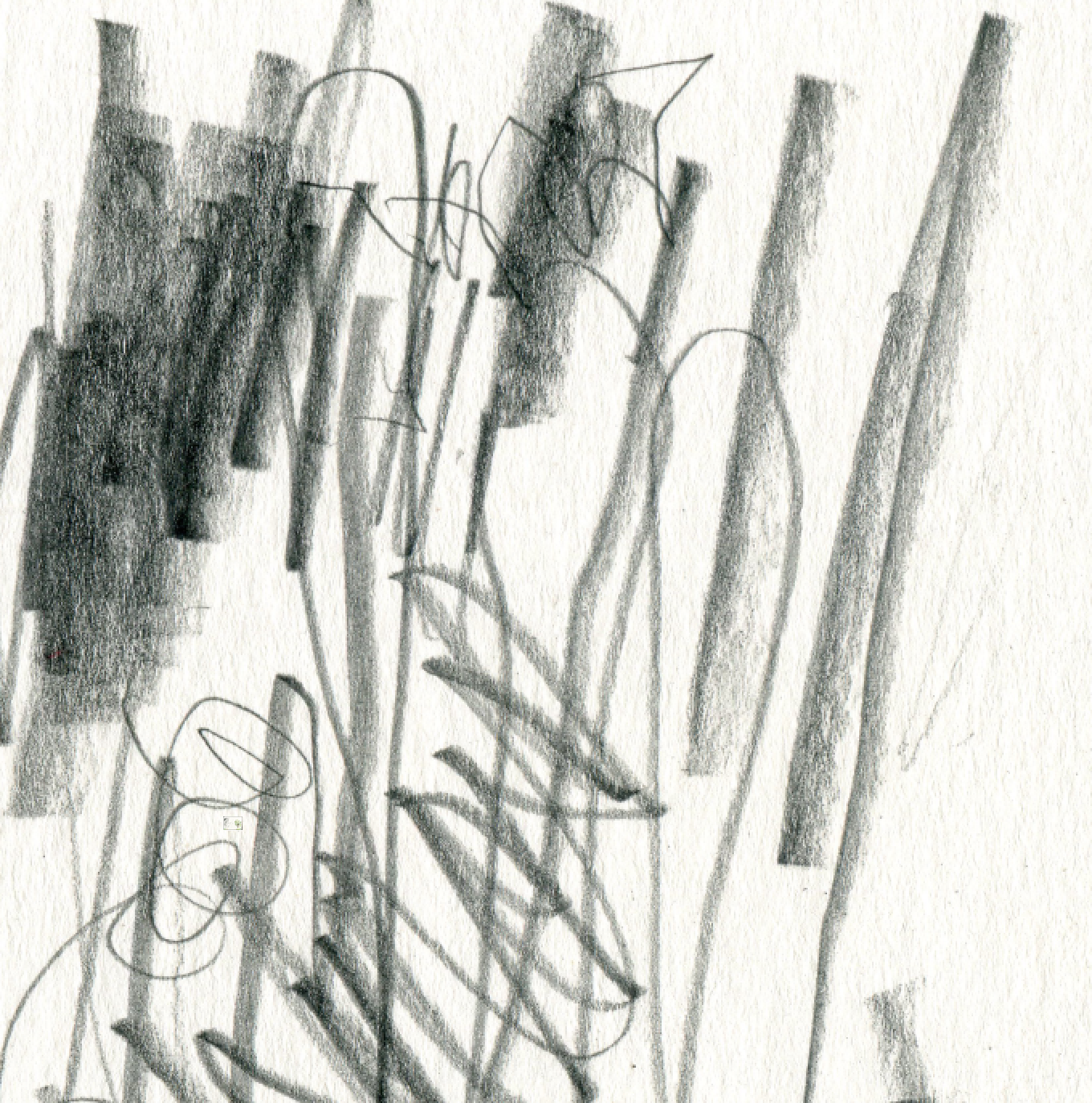 Screen Shot 2024-12-08 at 5.45.46 PM.png