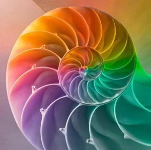 Gestalt Mentor Coaching