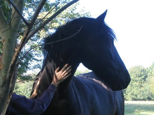 Wisdom Gathering: Let Your Life Speak and Be There to Listen