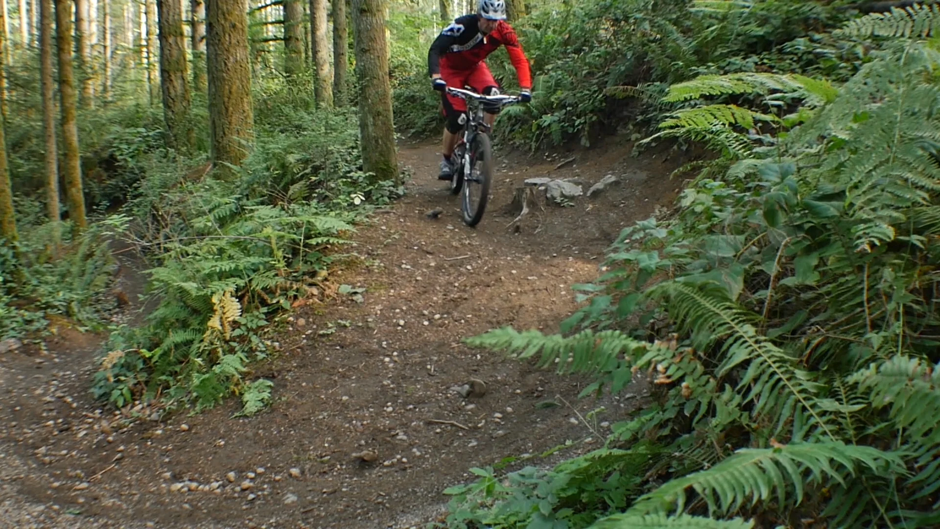 switchbacks mtb