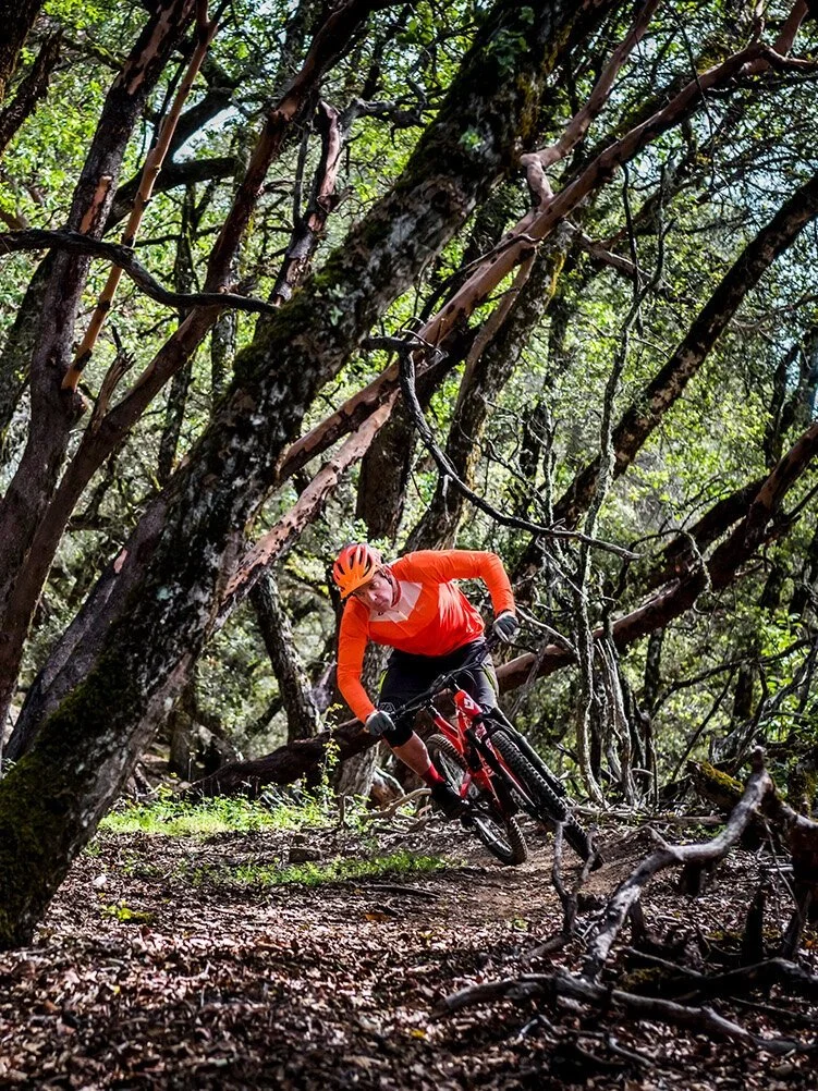 Bike Trails Duthie Hill Mountain Bike Selected Duthie Hill Mtb