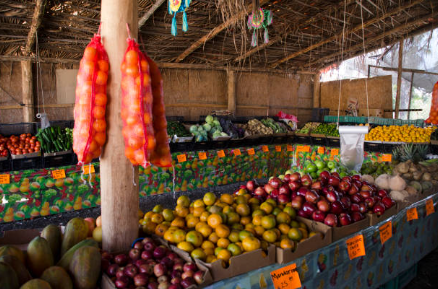 744-Todos-Santos-Mexico-Stock-Photos-High-Res-Pictures-and-Images-Getty-Images-01-06-2026_02_23_PM - Copy.png