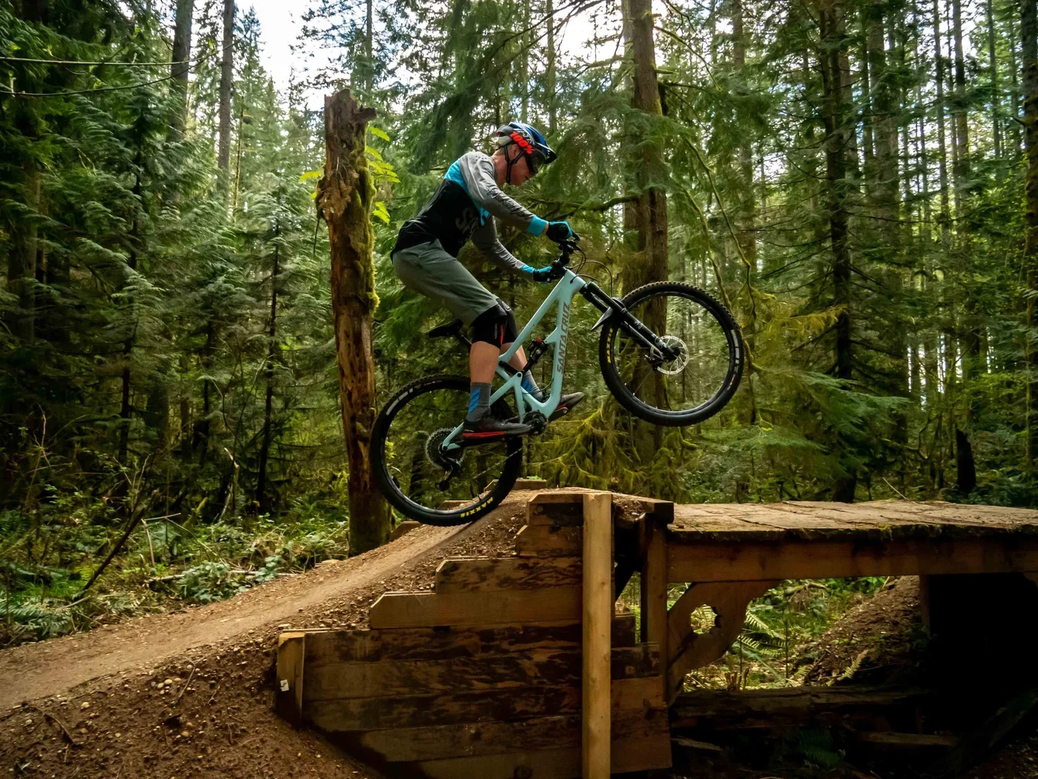 Ride and Refine Beginner Jumping