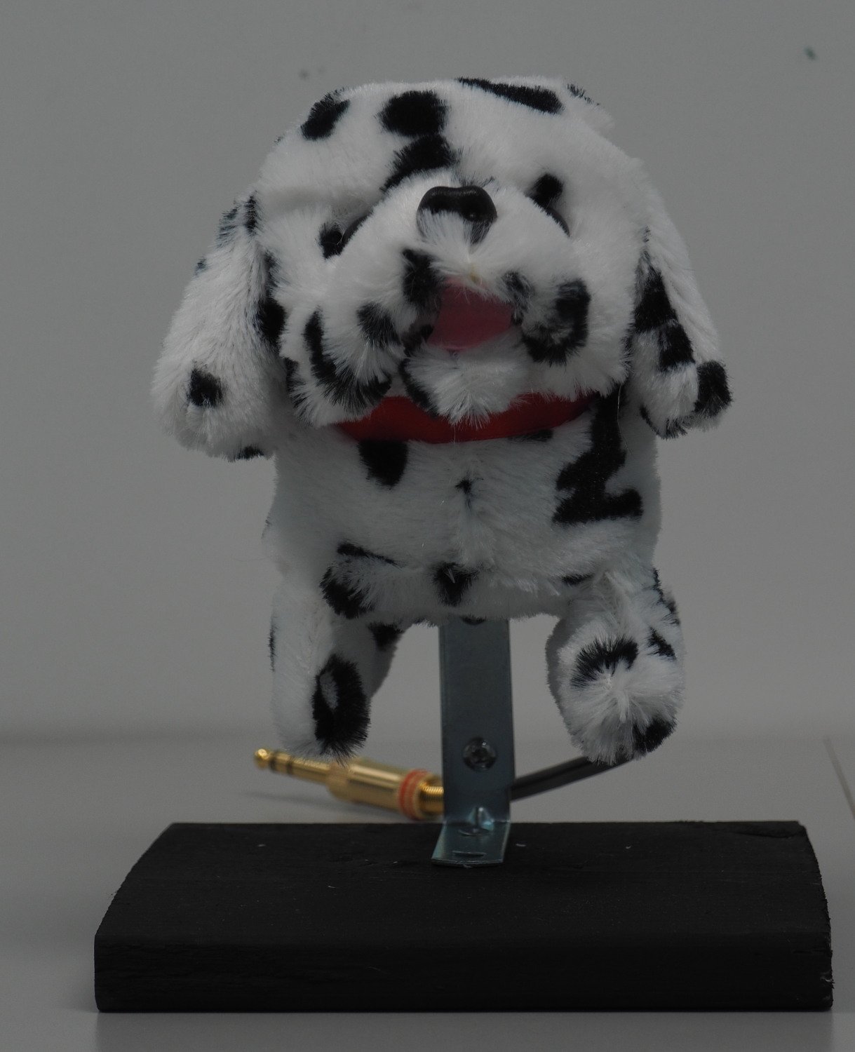 Dalmatian Dog (CORANIMAL-120131)