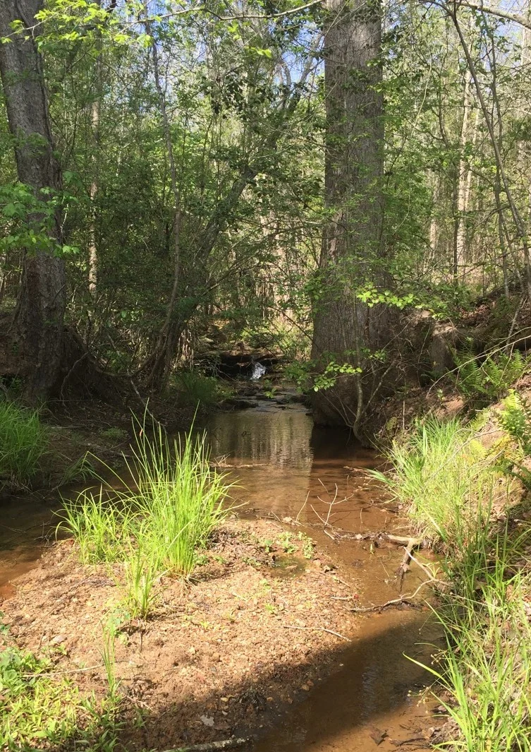 creek.jpeg