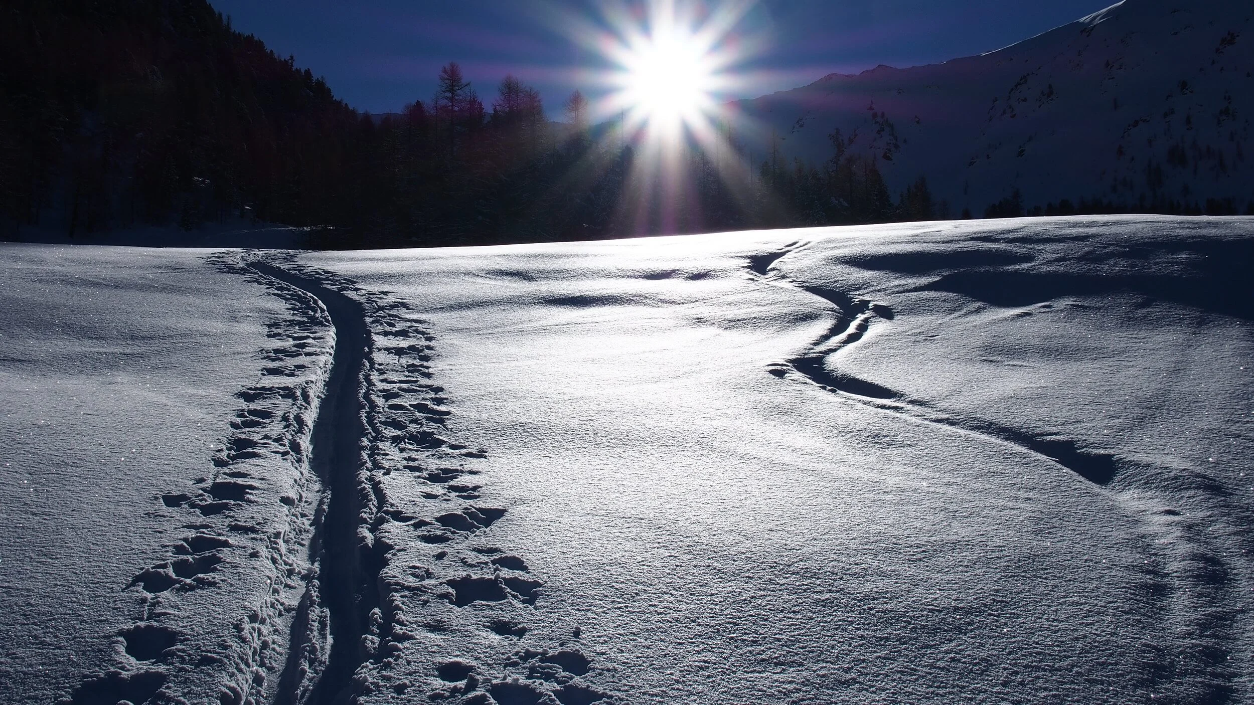 Ski- und Schneeschuhtouren Saison 2017/2018
