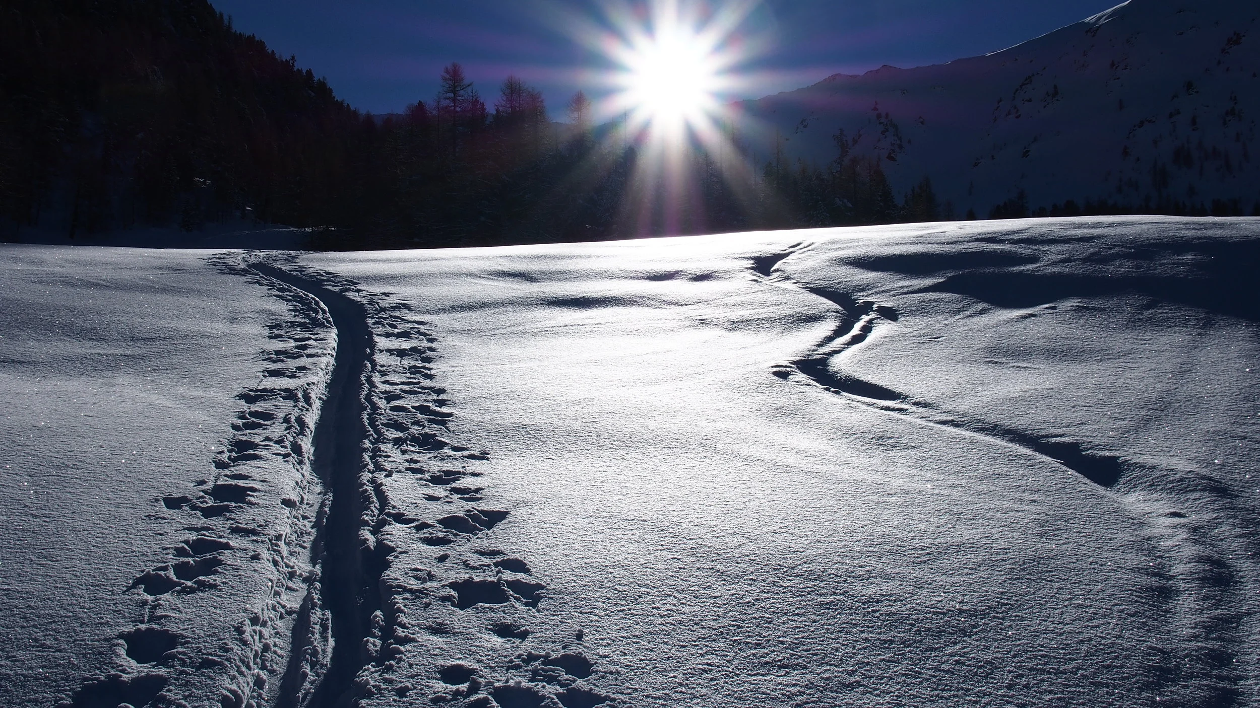 Winteraktionen und Weihnachtsfeiern