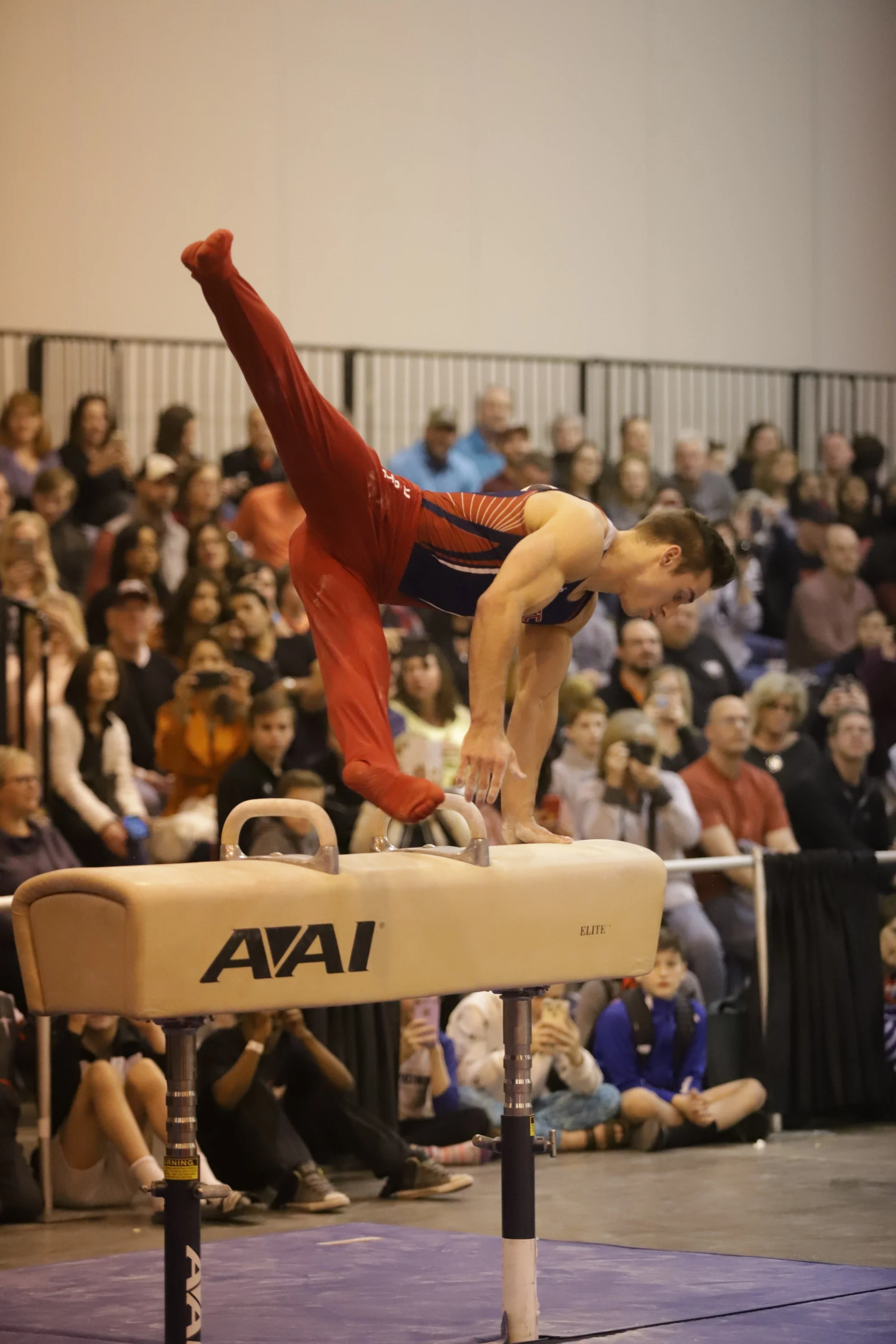 Olympian Sam Mikulak Working the Pommel Horse