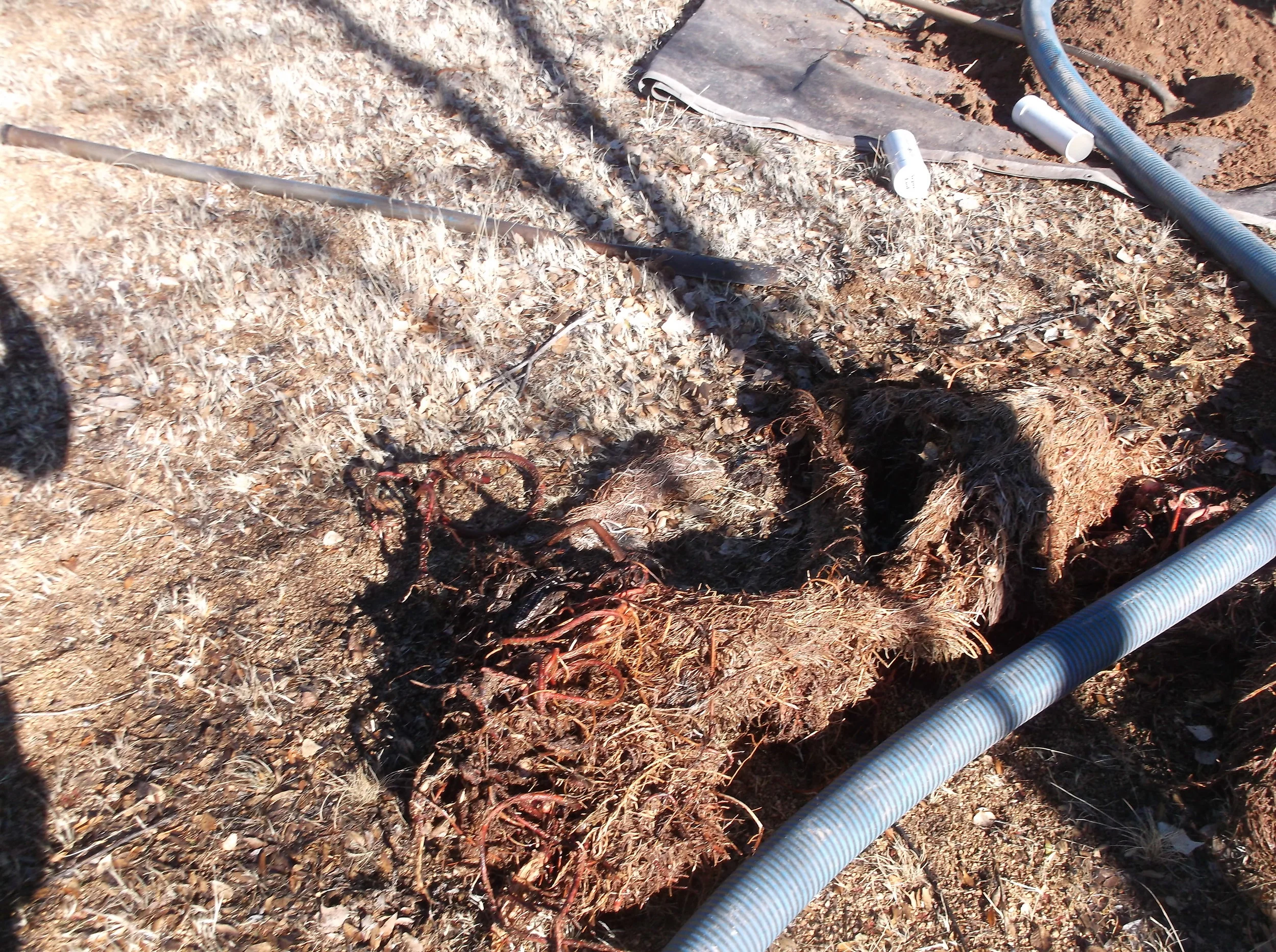 COMMON PROBLEMS — JT's SEPTIC