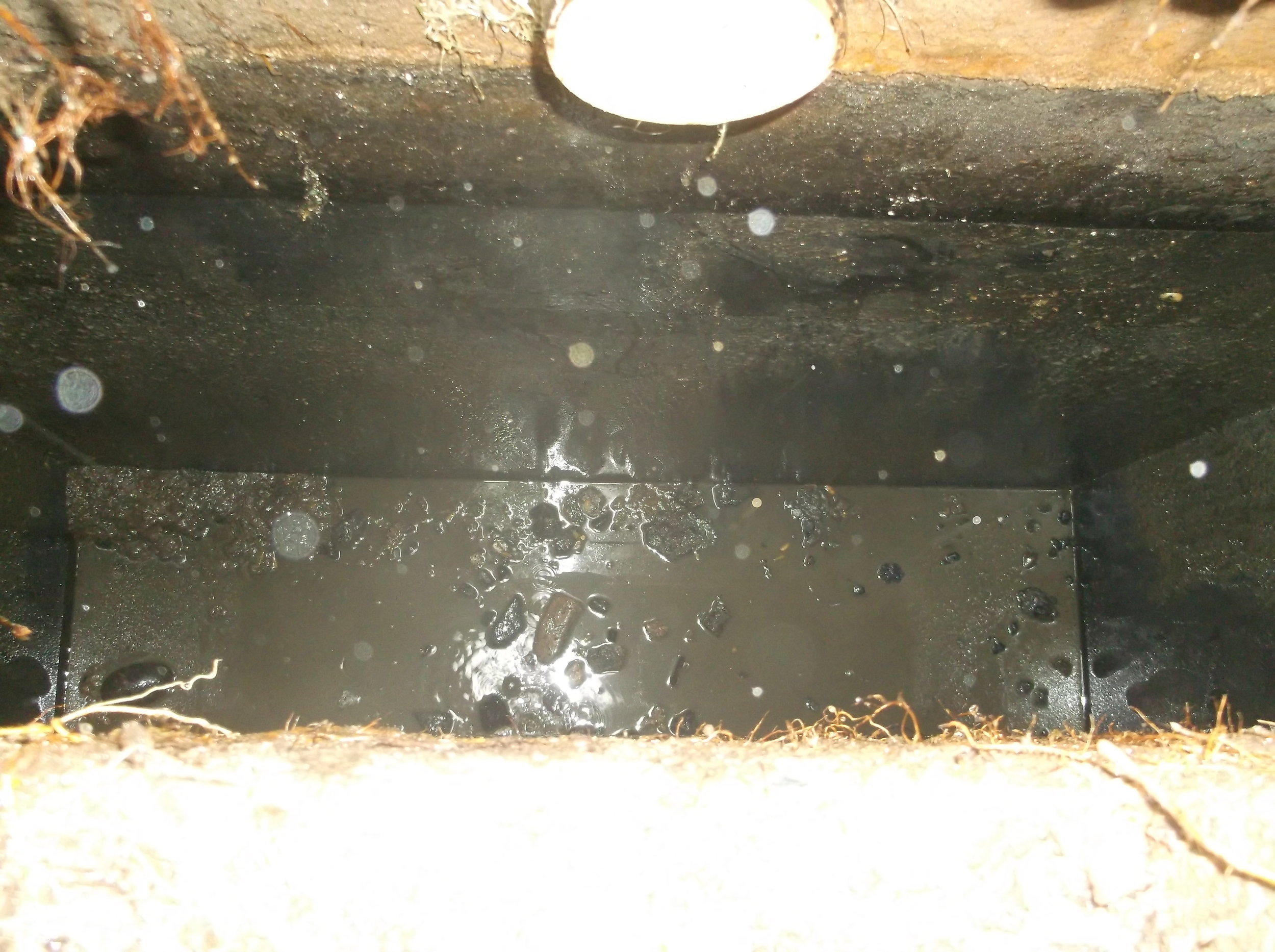 Concrete Tank 1.JPG