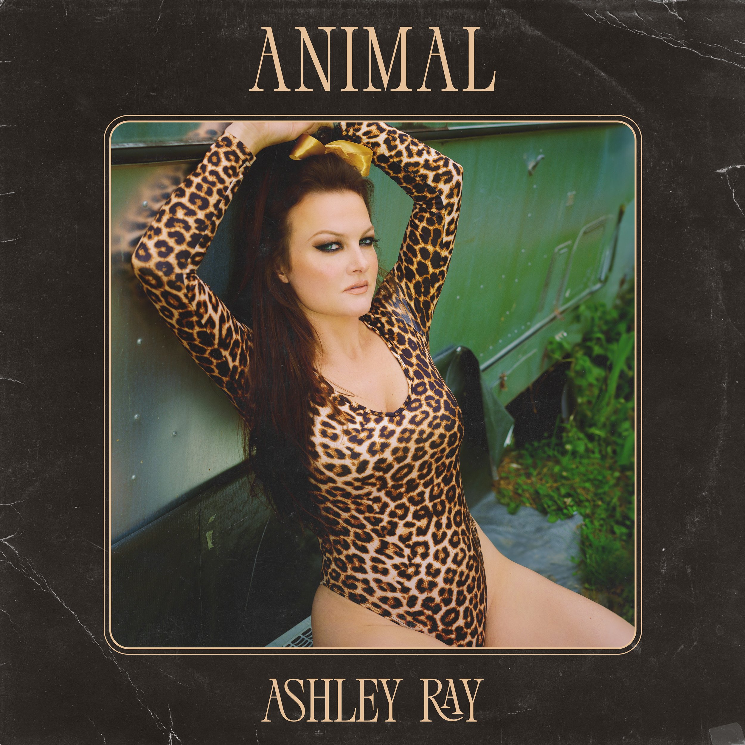 AR-Animal-Cover-3000x3000.jpeg