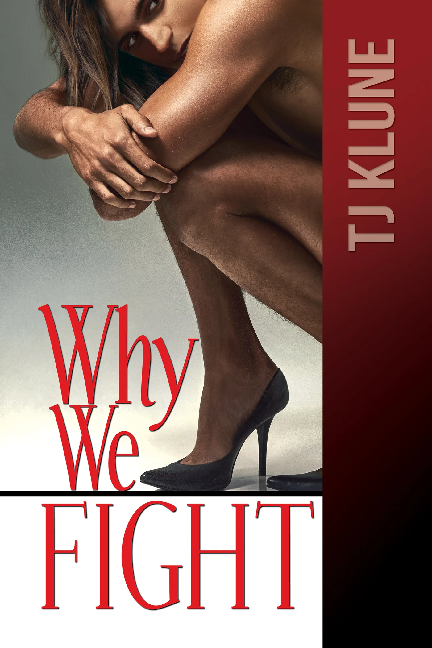 WhyWeFightFS_v1.jpg