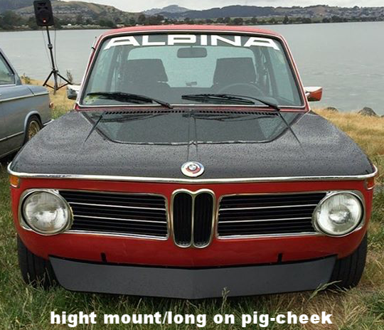 pig cheek Alpina with Long, High mount air dam
