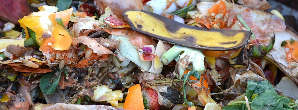 A local compost pile. Public domain.