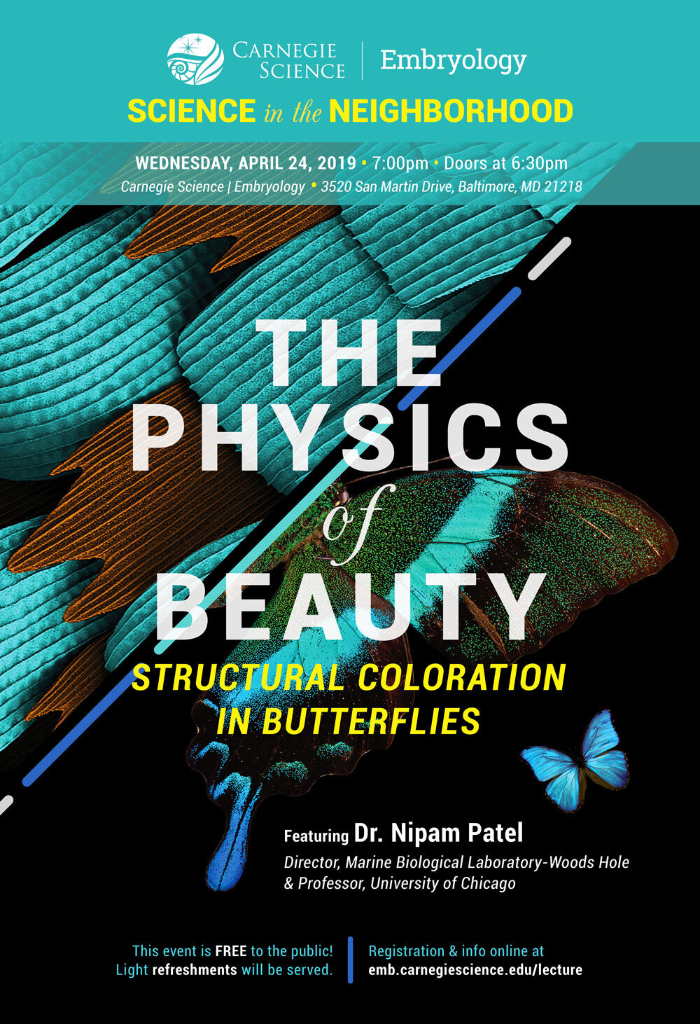 PMarvi_Poster_Beauty.jpeg